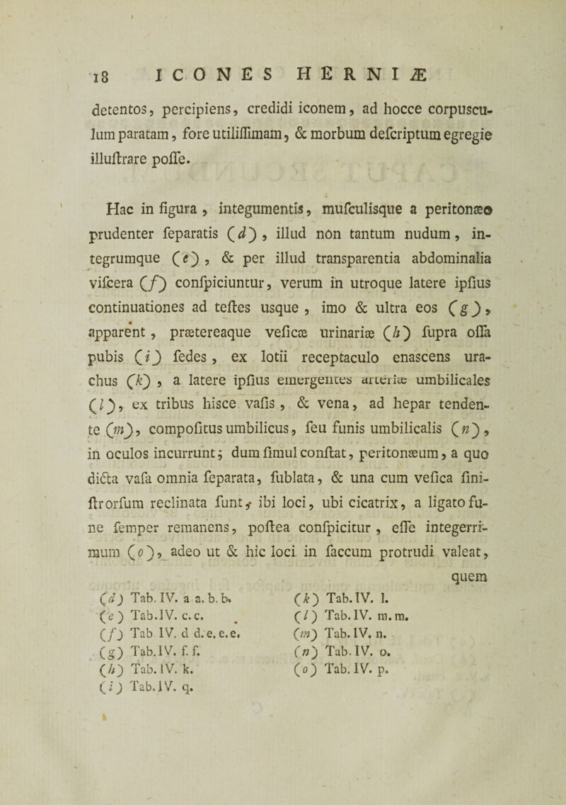 detentos, percipiens, credidi iconem, ad hocce corpuscu¬ lum paratam, fore utiliffiinam, & morbum defcriptum egregie illuftrare pofle. Hac in figura , integumentis, mufculisque a peritonaeo prudenter feparatis > illud non tantum nudum, in- tegrumque , & per illud transparentia abdominalia * vifcera Qf) confpiciuntur, verum in utroque latere ipfius continuationes ad tefles usque , imo & ultra eos (g) > 9 apparent , praetereaque veficce urinariae (7?) fupra offa pubis (7_) fedes, ex lotii receptaculo enascens ura- chus (VQ , a latere ipfius emergentes arterite umbilicales ex tribus hisce vafis , & vena, ad hepar tenden¬ te (m), compofitus umbilicus, feu funis umbilicalis V ... . ... ,J ... . • jf t _ ‘.J , * , . . in oculos incurrunt; dumfimulconflat, peritonaeum, a quo didla vafa omnia feparata, fublata, & una cum vefica fini- flrorfum reclinata funt,- ibi loci, ubi cicatrix, a ligato fu¬ ne femper remanens, poftea confpicitur, effe integerri¬ mum (0), adeo ut & hic loci in faecum protrudi valeat, quem Qd) Tab. IV. a a. b. b» (<?) Tab.IV. c. c. (/_) Tab IV. d d.e. e.e. (£) Tab. IV. 1. (/) Tab.IV. ra.m. (g) Tab.IV. f.f. (70 Tab. IV. k. (i) Tab. IV. q. (/n) Tab. IV. n. (n) Tab. IV. o. (0) Tab, IV. p.