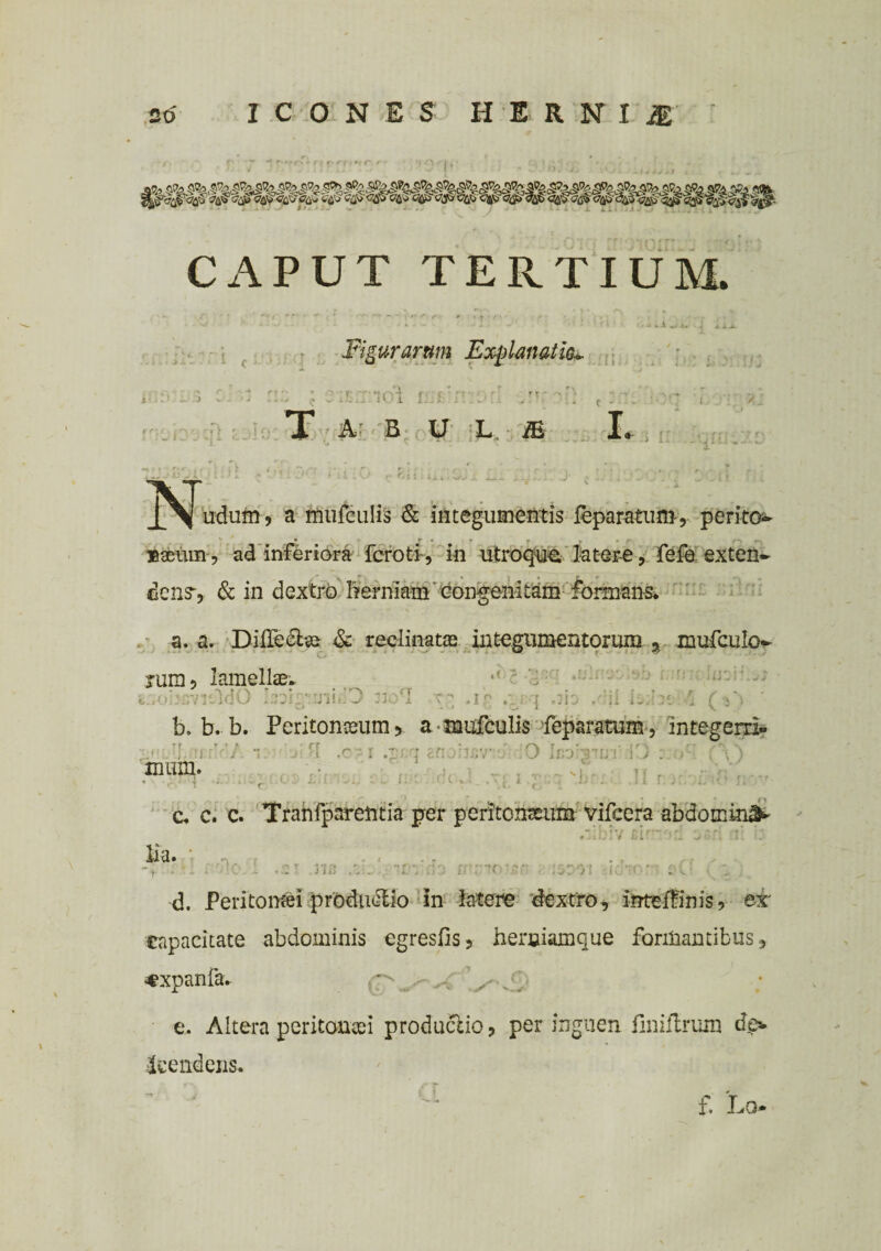 ■ r * / / •■/ f' »■ CAPUT TERTIUM. . .i.., .:n Figuraram Explanatio* i • . > .. j 101 Uifc t - / ’ _ i. !> X A B U L M .*• fy JS^udum, a mufculis & integumentis feparatum, perito^ «acum, ad inferiora fcroti, in utroque latere, fefa exten- ,' , • ♦ r * * dens> & in dextro frerniam congenitam formans, a. a. Difleela* & reclinatae integumentorum % mufculo* rum, lamellae. *' a oiMvr-ldO boig^iniilO 330*1 -r? .ir o q .3io . 'il i: 1 u: \ V b. b.b. Peritonaeum > a-mufculis feparatum, integerri» Iheerid/ i rtafJ3 .©? 1.36q anohfivio 10- . . xnum. c. c. c. Tranfpareiitia per peritonaeum vifcera abdomini lia. ; Ei' 01 IC I .310 fff^TOJjSn ?. d. Peritoncei productio in latere dextro, inteiBnis, er capacitate abdominis egresfis, herniamque formantibus, «xpanfa. ^ Uu e. Altera peritonaei produclio, per inguen fmiflrum de». Icendens. f. Lq*