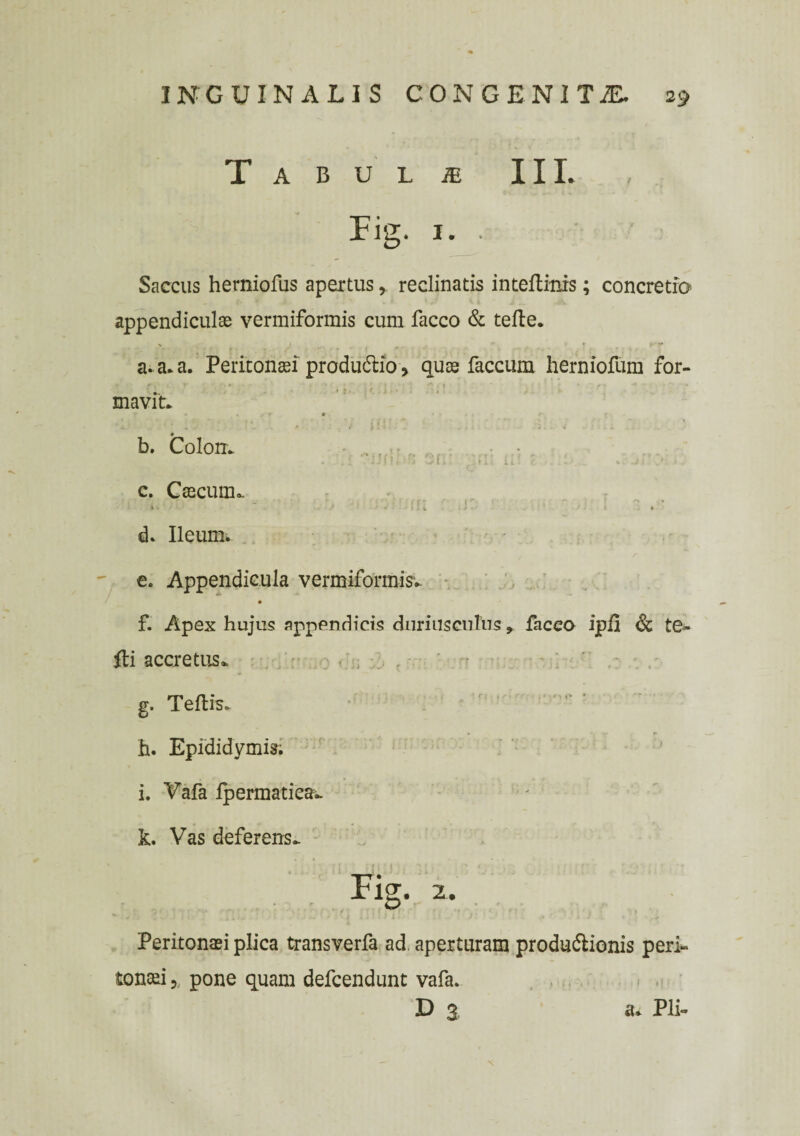 Tabulie III. Fig. 1. • Saccus herniofus apertus r reclinatis intertinis; concretio appendiculas vermiformis cum facco & terte. a. a. a. Peritonaei produdtio , quas faecum herniofum for¬ mavit* • . f r • * * • b. Colon* c. Caecum», d* Ileum. e. Appendicula vermiformis* f. Apex hujus appendicis duriusculus, faceo ipfi (St te¬ rti accretus. g. Tertis. h. Epididymis; i. Yafa Ipermatiea^. k. Vas deferens* Fig. 2. Peritonaei plica transverfa ad. aperturam produ&ionis peri¬ tonaei ,, pone quam defeendunt vafa. D 3 a. Pii-