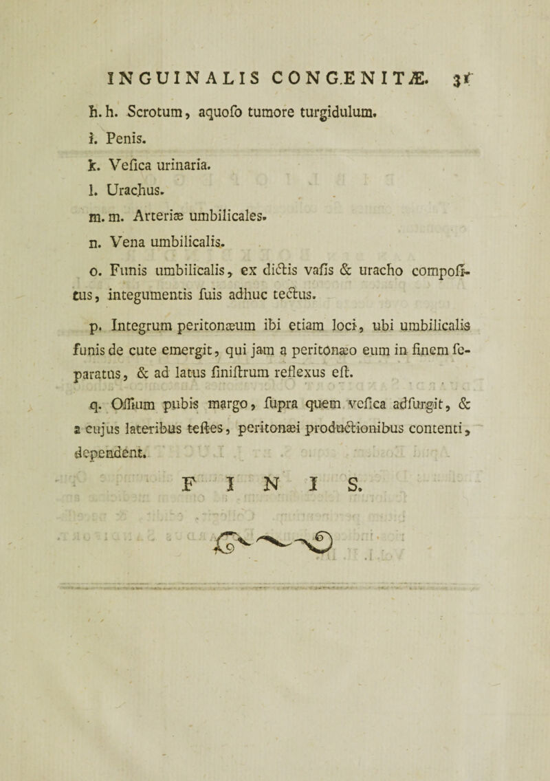 h. h. Scrotum, aquofo tumore turgidulum. i. Penis. k. Vefica urinaria. l. Urachus. m. m. Arterire umbilicales. n. Vena umbilicalis. o. Funis umbilicalis y ex ditiis vafls & uracho compofi- tus, integumentis fuis adhuc tectus. p. Integrum peritonaeum ibi etiam loci, ubi umbilicalia funis de cute emergit, qui jam a peritoneo eum in finem fe- paratns, & ad latus finiitrum reflexus efi. q. Ofllum pubis margo, fupra quem vefica adfurgit, & a cujus lateribus teftes, peritonaei productionibus contenti 5 dependent. FINIS. ■ • ' '