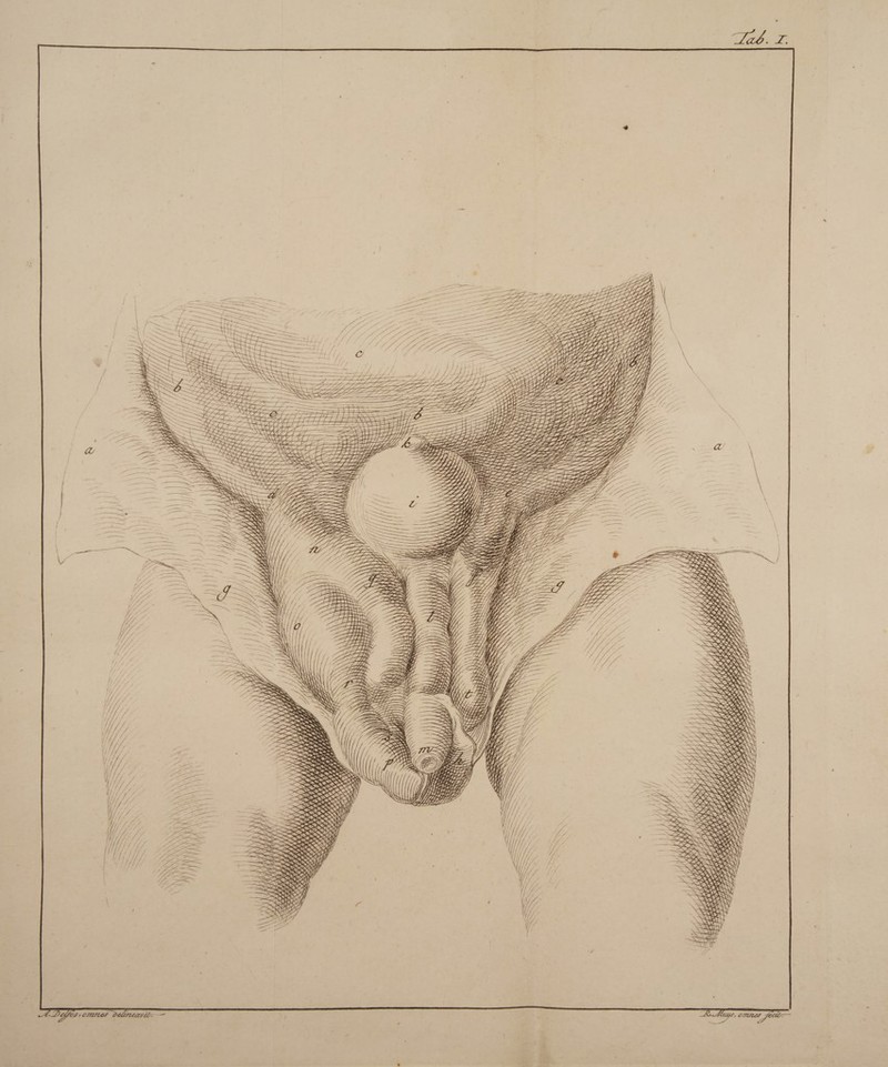 Z. *4 ^■Jbeposic/nrus ded/uavti omnes^ccii —