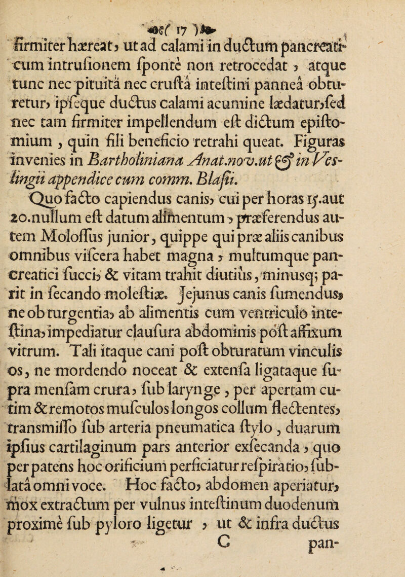 firmiter liaereatj ut ad calami indutum pancreati* cum intrufionem Iponte non retrocedat > atque tunc nec pituita nec crufta inteftini pannea obtu¬ retur) ipfeque diuStus calami acumine laedatunled nec tam firmiter impellendum cll didlum epifto- mium , quin fili beneficio retrahi queat. Figuras invenies in Eartholiniana Anat.novM in J^es- lingii appendice cum comm. Biafi. Quo fadto capiendus canis) cui per horas ip.aut 20.nullum ell datum alimentum 5 praeferendus au¬ tem Mololfus junior, quippe qui prat aliis canibus omnibus vilcera habet magna 5 multumque pan¬ creatici fuccb & vitam trahit diutius, minusq; pa¬ ri t in lecando molelliae. Jejunus canis fumendus» ne ob turgentia-j ab alimentis cum ventriculo inte- ftina) impediatur claufura abdominis pdffiaffixum vitrum. Tali itaque cani poli obturatum vinculis os, ne mordendo noceat 8c extcnfa ligataque fu- pra menlam crura) fub larynge, per apertam cu- tim & remotos mufculos longos collum fledlentes) transmiilo fub arteria pneumatica ftylo, duarum ipfius cartilaginum pars anterior exlecanda) quo perpatens hoc orificium perficiaturrelpiratio)fub- lata omni voce. Hoc faclo> abdomen aperiatur) mox extraclum per vulnus intellinum duodenum proxime liib pyloro ligetur ) ut & infra dudlus C pan-