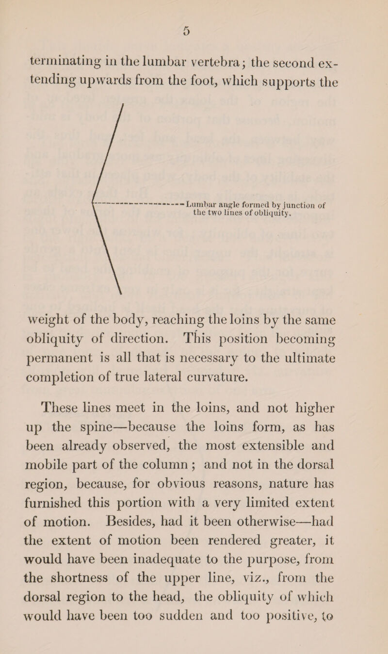 terminating in the lumbar vertebra; the second ex¬ tending upwards from the foot, which supports the Lumbar angle formed by junction of the two lines of obliquity. weight of the body, reaching the loins by the same obliquity of direction. This position becoming permanent is all that is necessary to the ultimate completion of true lateral curvature. These lines meet in the loins, and not higher up the spine—because the loins form, as has been already observed, the most extensible and mobile part of the column ; and not in the dorsal region, because, for obvious reasons, nature has furnished this portion with a very limited extent of motion. Besides, had it been otherwise—had the extent of motion been rendered greater, it would have been inadequate to the purpose, from the shortness of the upper line, viz., from the dorsal region to the head, the obliquity of which would have been too sudden and too positive, to