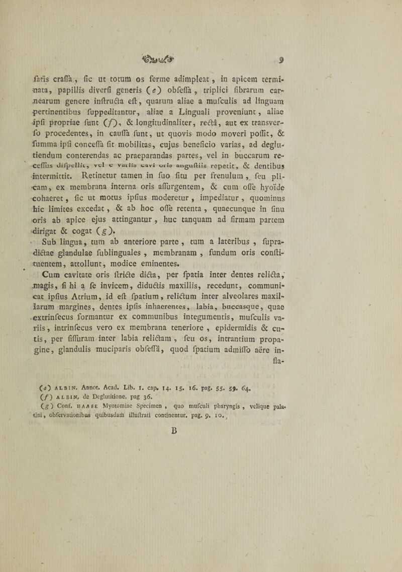 fatis crafTa , fic ut totum os ferme adimpleat, in apicem termi¬ nata, papillis diverfi generis (e) obfefia , triplici fibrarum car- mearum genere inftru&amp;a eft, quarum aliae a mufculis ad linguam pertinentibus fuppeditantur, aliae a Linguali proveniunt, aliae ipfi propriae funt (/), &amp; longitudinaliter, recita, aut ex transver- fo procedentes, in caufia funt, ut quovis modo moveri poffit, &amp; fumma ipfi concefla fit mobilitas, cujus beneficio varias, ad deglu- tiendum conterendas ac praeparandas partes, vel in buccarum re» ceffiis difpcllic, vel c vuiiio cavi eris aiigufliis repetit, &amp; dentibus intermittit. Retinetur tamen in fuo fitu per frenulum , feu pli¬ cam, ex membrana interna oris aflurgentem, &amp; cum ofie hyoide cohaeret, fic ut motus ipfius moderetur , impediatur , quominus hic limites excedat, &amp; ab hoc ofie retenta , quaecunque in finu oris ab apice ejus attingantur , huc tanquam ad firmam partem dirigat &amp; cogat (g). Sub lingua, tum ab anteriore parte, tum a lateribus , fupra- di&amp;ae glandulae fublinguales , membranam , fundum oris confti- tuentem, attollunt, modice eminentes. Cum cavitate oris ftri&amp;e didta, per fpatia inter dentes reli&amp;a, magis, fi hi a fe invicem, didu&amp;is maxillis, recedunt, communi¬ cat ipfius Atrium, id eft fpatium, relidtum inter alveolares maxil¬ larum margines, dentes ipfis inhaerentes, labia, buccasque, quae extrinfecus formantur ex communibus integumentis, mufculis va¬ riis , intrinfecus vero ex membrana teneriore , epidermidis &amp; cu¬ tis, per fifliiram inter labia relitftam , feu os, intrantium propa¬ gine, glandulis muciparis obfefia, quod fpatium admifio aere in- fia- (s) ALB1N. Annot, Acad. Lib. i. cap. 14. 15. 16. pag. 55, 59, 64. (/) albin, de Deglutitione, pag 36. (g) Conf. haase Myotomiae Specimen, quo mufculi pharyngis, velique pala* tini, obfervatioribus quibusdam illuftrati continentur, pag. 9. xo.. B