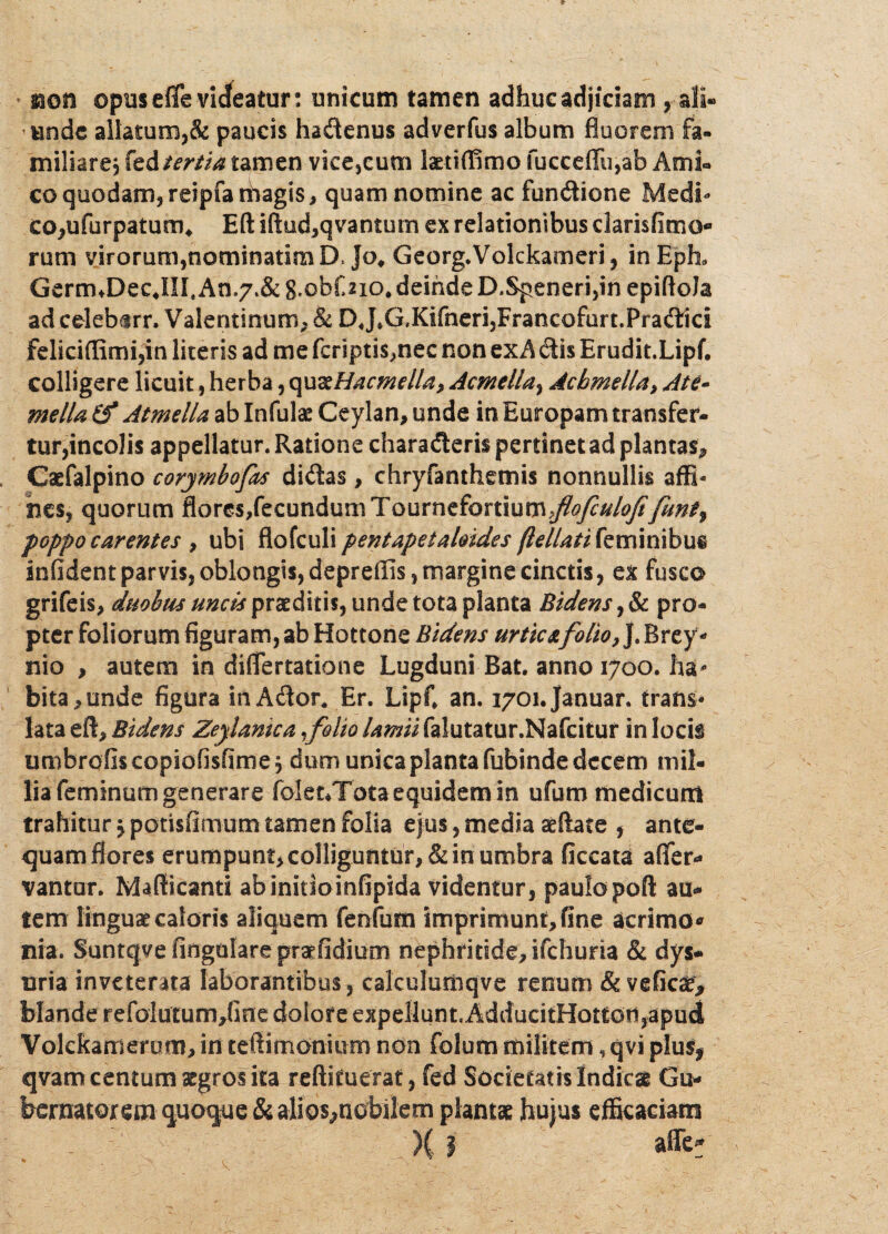 mn opus effe videatur: unicum tamen adhuc adjiciam, ali« unde allatum,& paucis hadenus adverfus album fluorem fa¬ miliare, \t&tertia tamen vice,cum lamfTimofucceffu,ab Ami¬ co quodam, reipfarbagts* quam nomine ac fundione Medi* co,ufurpatum, Eft iftud,qvantum ex relationibus clarisfimo- rum virorum,nominatim IX Jo* Georg.Volckameri, inEph, Germ*Dec JII, An,7.& gobDio* deinde D.Speneri,in epiftoJa ad celebirr. Valentinum* & D J»G,Kifneri,FrancQfurt.Pradici feliciflimi,in literis ad me fcriptis,nec non exA dis Erudit.Lipf. colligere licuit, herba, eyx&Hacmella, Acmella^ Acbmella* Ate- mella (f Atmella ab Infulae Ceylan, unde in Europam transfer¬ tur,incolis appellatur. Ratione charaderis pertinet ad plantas* Caefalpino corymbofas didas, chryfanthemis nonnullis affi¬ nes, quorum flores,fecundum Tournefortium^y?#/^fmt, poppocarentes , ubi flofculipentapetahides /lellati kmmihm infident parvis, oblongis, depreffis, margine cinctis, ex fusco grifeis* duobus unci* praeditis, unde tota planta Bidens ,& pro¬ pter foliorum figuram, ab Hottone Bidens urtic& folio, J. Brey* nio , autem in diflertatione Lugduni Bat. anno 1700. ha* bita*unde figura in Ador, Er. Lipf* an. i70i.Januar. trans¬ lata eft* Bidens Zeylamcafolio lamii falutatur.Nafcitur in locb umbrofiscopiofisfime j dum unica planta fubinde decem mil¬ lia feminum generare folet*Tota equidem in ufum medicum trahitur $ potisfimum tamen folia ejus, media seftate , ante¬ quam flores erumpunt* colliguntur, & in umbra ficcata afler- vantur. Mafticanti abinitioinfipida videntur, paulo poft au¬ tem linguae caloris aliquem fenfum imprimunt, fine acrimo* nia. Suntqyefingolarepmfidium nephritide* ifchuria & dys¬ uria inveterata laborantibus, calculumqve renum & veficae, blande refolutum*fine dolore expellunt, AdducitHotton,apud Vokkamerum* in teftimonium non folum militem, qvi plus, qvam centum aegros ica reftifuerat, fed Societatis Indicae Gu¬ bernatorem quoque &ftUos,n0bilem plantae hujus efficaciam )( I affe-