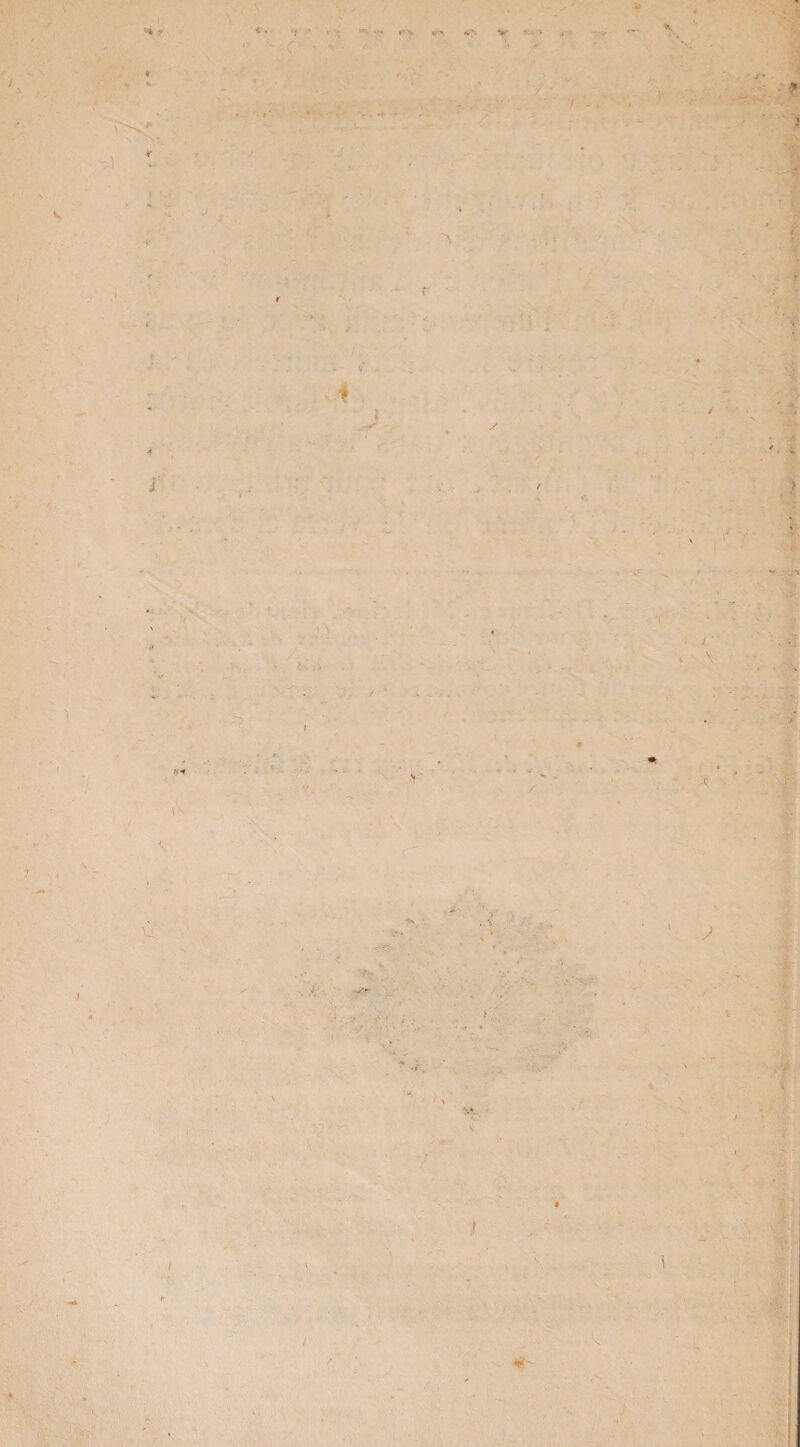 J V ■1 * t\ V . . ... . - f \ J : v iv- ¥~-