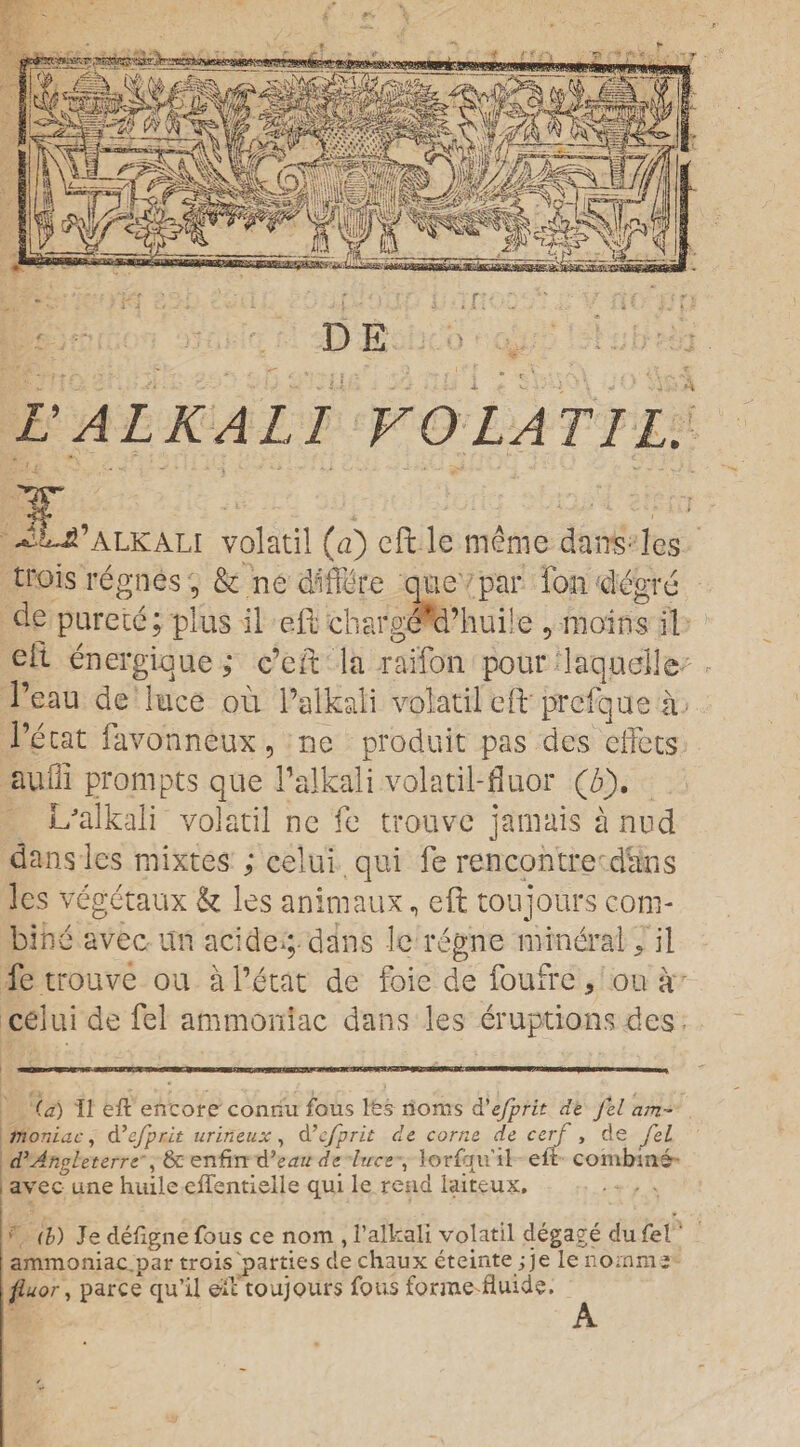 DE L ALKALI V0LAT1L. ^l^’alkali volatil (a) eft le meme dans; les trois regnes 5 & ne differe que par Ion degre de purete; plus il eft chargeM’huiie , mains i'l eft energlque; c’eft la rai'fon pour laquelle l’eau de duce ou l’alkali volatil eft prcfque a ■ l’ecat favonneux, ne produit pas des diets aufii prompts que Palkali volatil-fluor (d). L'alkali volatil ne fe trouvc jamais a nud dans les rnixtes ; celui qui fe rencontre dans les vegetaux & les animaux, eft toujours com¬ bine avec un acidegdans lcregne mineral* il fetrouve ou al’etat de foie de foufre, ou a celui de fel ammoniac dans les eruptions des (a) il eft encore connu fous les noms d'efprit de fel am¬ moniac , d’efprit urineux, d’efprit de come de cerf , de fel d’Angleterre , & enfin d’eau de luce , lorfqu'il eft combine avec une huile eflentielle qui le rend laiteux. (b) Je deftgne fous ce nora , i’alkali volatil degage du fel' ammoniac.par trois parties de chaux eteinte; je le nornm* fluor, parce qu’il eft toujours fous forme fluids, A