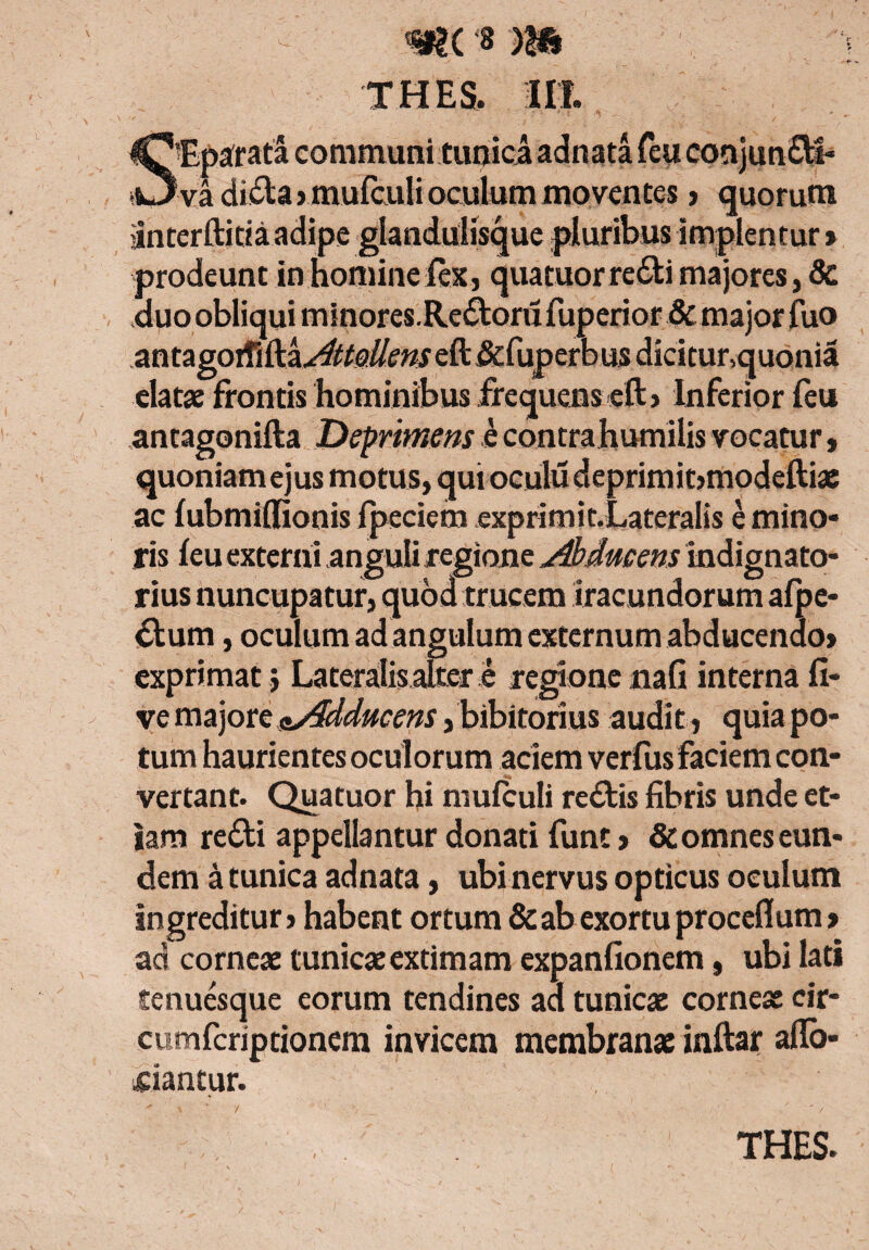 THES. III. SEparata communi tunicaadnata feu conjun£H- va didta) mufculi oculum moventes , quorum Snterftittaadipe glandulisque pluribus implentur» prodeunt in homine lex, quatuorrefti majores, 8c duo obliqui minores.Re&orii fuperior & major fuo nntagoifiAk^ttQUens efl&fuperb us dicitur,quonia elatae frontis hominibus frequens eft> Inferior feu antagonifta Deprimens e contrahumilis vocatur, quoniam ejus motus, quioculudeprimibmodeftiae ac fubmiffionis fpeciem exprimit.Lateralis e mino¬ ris feu externi anguli regione abducens indignato- rius nuncupatur, quod trucem Iracundorum afpe- &um, oculum ad angulum externum abducendo» exprimat > Lateralis aEer e regione nafi interna fi- vemajore&/4dducens,bibitorius audit, quiapo- tum haurientes oculorum aciem verfus faciem con- vertant. Quatuor hi mufculi redtis fibris unde et¬ iam re&i appellantur donati funt» & omnes eun¬ dem a tunica adnata, ubi nervus opticus oculum ingreditur, habent ortum & ab exortu proceflum» ad corneae tunicae extimam expanfionem, ubi lati tenuesque eorum tendines ad tunicae corneae cir* cumfcriptionem invicem membranae inftar afio- jciantur. I