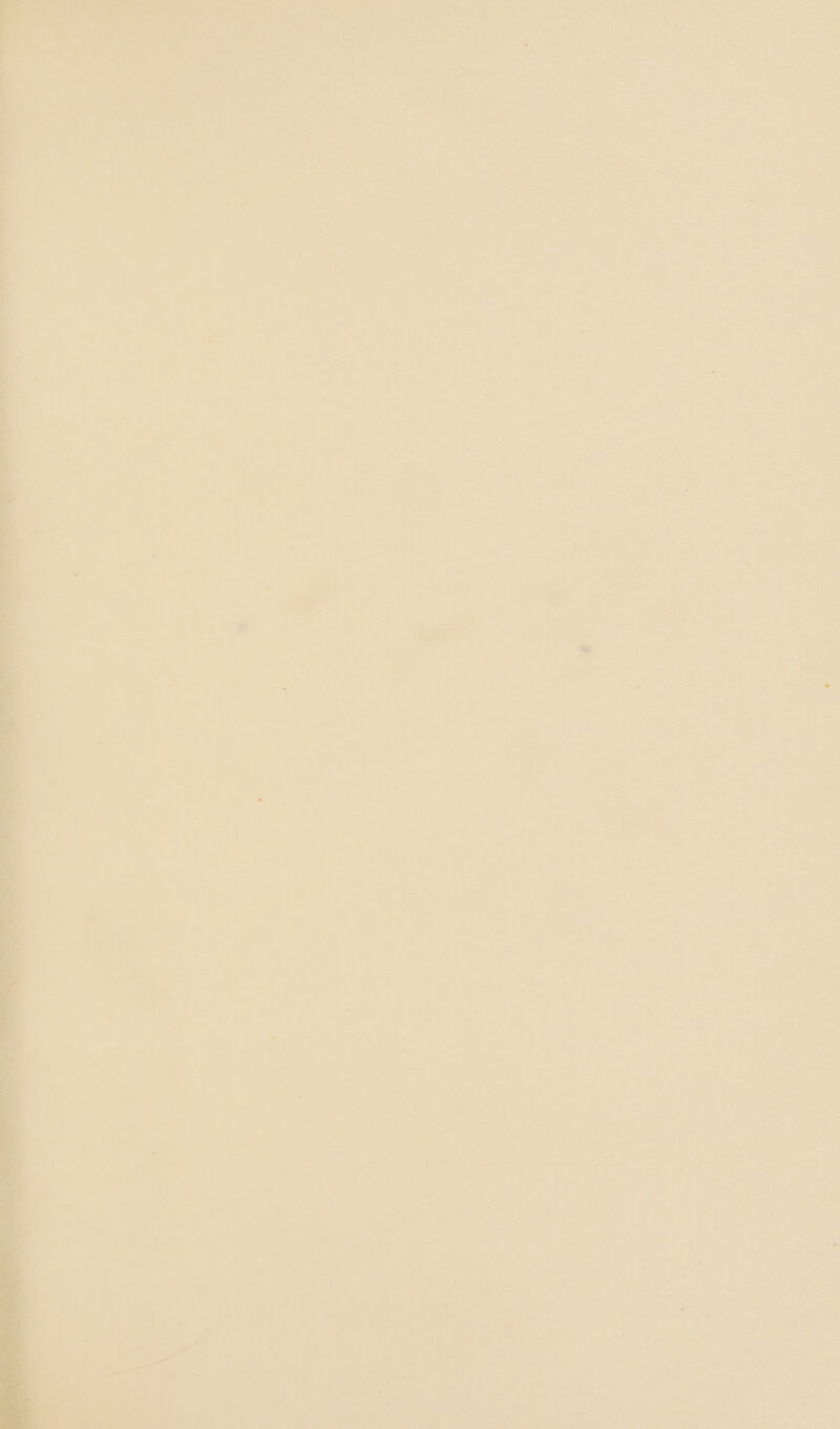 2 * - * ‘ 4 4 a - |