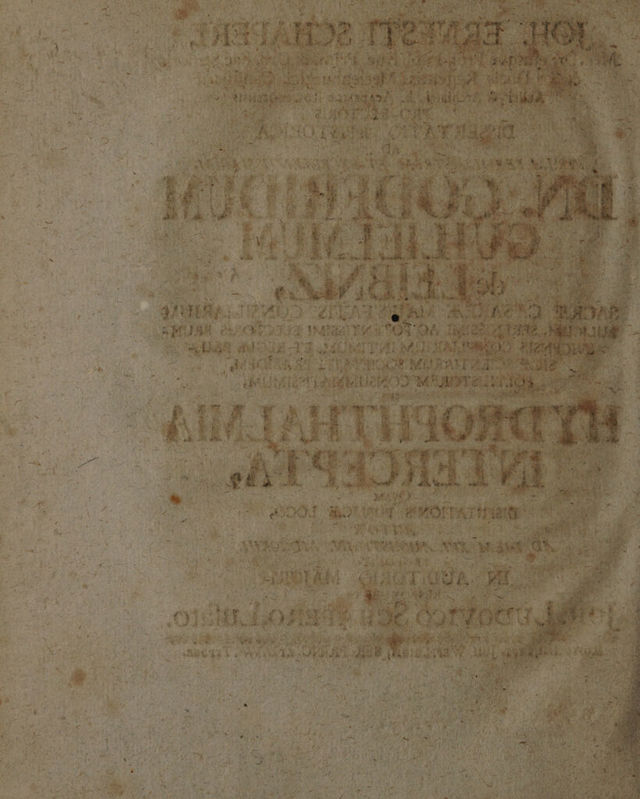 digitised image 2