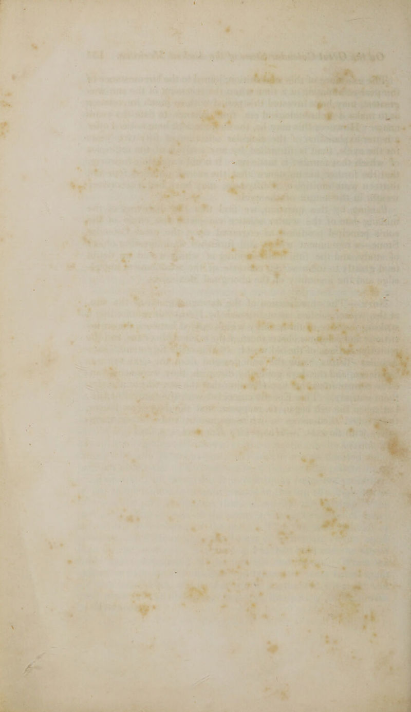 » \ I V ' „ J _ - • .