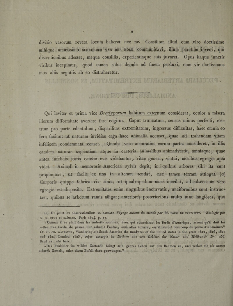 3 divisio vasorum revera locum haberet nec ne. Consilium illud cum viro doctissimo mihique amicissimo schroeder van der kolk communicavi, illum paratum inveni, qui dissectionibus adesset, meque consiliis, experientiaque suis juvaret. Opus itaque junctis viribus incepimus, quod tamen solus deinde ad finem perduxi, cum vir doctissimus % mox aliis negotiis ab eo distraheretur. -.. — mamm■ ■— ► • - • ; 7 • Qui leviter et prima vice Bradyporum habitum externum considerat, oculos a misera illorum difformitate avertere fere cogitur. Caput truncatum, sensus minus perfecti, ros¬ trum pro parte edentulum, disparilitas extremitatum, ingressus difficultas, haec omnia eo fere faciunt ut naturam invidiae erga haec animalia accuset, quae ad trahendam vitam infelicem condemnata censet. Quodsi vero accuratius eorum partes consideret, in illis eandem naturae sapientiam atque in caeteris animalibus animadvertit, omniaque, quae antea infelicis sortis causae esse videbanturvitae generi, victui, moribus egregie apta videt. ' Animal in nemorosis Americae sylvis degit, in quibus arbores sibi ita sunt propinquae, ut facile ex una in alteram tendat, nec tamen terram attingat, [a) Corporis quippe fabrica vix sinit, ut quadrupedum more incedat, ad adscensum vero egregie est disposita. Extremitates enim unguibus incurvatis, unciformibus sunt instrue- tae, quibus se arborum ramis affigat; anteriores posterioribus multo sunt longiores, quo - (a) Ut patet ex observationibus m. gAimARD Voyage autour du monde par M. ioms de freycinet. Zoolugie par m. m. qcoy et GAiiiARD. Paris 1824. p. 17. «Comme il se plait dans les endroits sombres, ceux qui connoissent les forets d’Amerique , savent qu’il doit lui » etre tres facile de passer d’un arbre k 1’autre , sans aller ii terre, ou il auroit beaucoup de peine k cheminer.’' Cf. et. ch. watertok , Wandering’s in South America the nordwest of the united States in tlie years 1812, 1816, 1820 and 1824, London 1825 , cujus excerpta in Notizen aus dem Gebietc der Natur- und Tleillcunde N&lt;&gt;- 256. Band x1 , ubi haec: 3&gt; Das Faultbier im wilden Zustande bringt sein ganzes Leben auf den Baumen zu , und verlast sie nie ausser 3) durcli Gewalt, oder einen Zufall dazu gezwungen.”