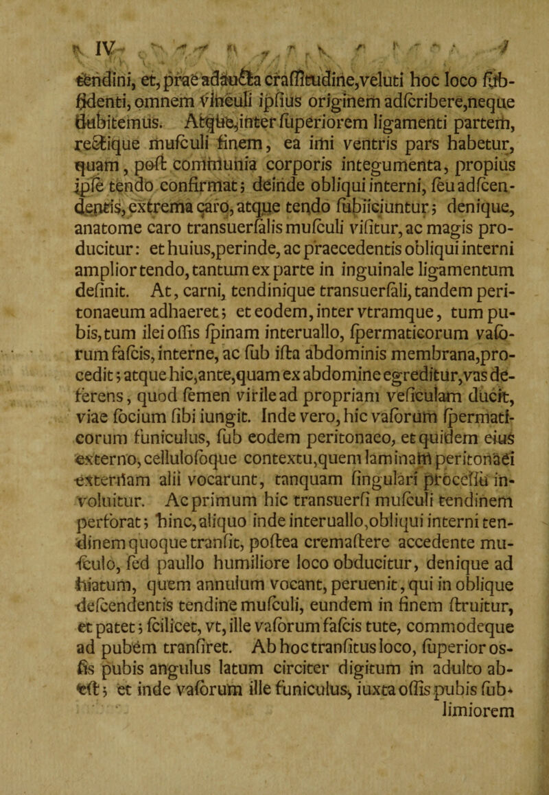 v# ■ ' i y* » ' . , f / 4 j ^ v tendini, et, prae adaufla craffitndine,veluti hoc loco ffib- fjdenti, omnem Vinculi ipfius originem adferibere,neque dubitemus. Atqhednter fuperiorem ligamenti parterh, reStique mufculi finem, ea imi ventris pars habetur, quam, poft communia corporis integumenta, propius ipie tendo confirmat; deinde obliqui interni, feuadfcen- deptis, extrema caro, atque tendo ffibiiciuntur; denique, anatome caro transuerfalis mufculi vifitur,ac magis pro¬ ducitur: et huius,perinde, ac praecedentis obliqui interni ampliortendo,tantum ex parte in inguinale ligamentum definit. At, carni, tendinique transuerfali, tandem peri¬ tonaeum adhaeret; et eodem, inter vtramque, tum pu¬ bis, tum ilei offis fpinam interuallo, fpermaticorum vafo- rumfafeis, interne, ac fub ilia abdominis membrana,pro¬ cedit ; atque hic,ante,quam ex abdomine egreditur,vas de¬ ferens, quod femen virile ad propriam veficulam ducit, viae fbcium fibi iungit. Inde vero, hic vaforum fpermati- corum funiculus, fub eodem peritonaeo, et quidem eius externo, cellulofoque contextu,quem laminam peritonaei exterriam alii vocarunt, tanquam lingulari proceffu in- voluitur. Ac primum hic transuerfi mufculi tendinem perforat; hinc,aliquo inde interuallo,obliqui interni ten¬ dinem quoque tranfit, poftea cremaftere accedente mu- •fculo, fed paullo humiliore loco obducitur, denique ad •hiatum, quem annulum vocant, peruenit, qui in oblique defeendentis tendine mufculi, eundem in finem ftruitur, et patet; fcilicet, vt, ille vaforum fafeis tute, commodeque ad pubem tranfiret. Abhoctranfitusloco, (uperioros- fis pubis angulus latum circiter digitum in adulto ab- tft; et inde vaforum ille funiculus, iuxta offis pubis fub* limiorem