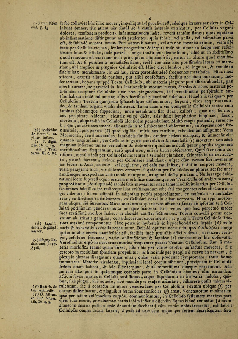 ibid, p. fj (l) Vtfirchtus Je Vermib. ca- pitlar. infant. (f ) P. j£gino Lib. IV. c. fp, Aetii , Tetr. 5erra. If, c. 8f. (d) r. dilieit, dCjgangl, MrvoT. { *) Blegny 2o- diac. ana, *(»75. .April. (/) JSoetih. de Lue. AphtodU, (^) D. Aftruc. de Lue Vcner, Lib. IV. c. i. 6 lulofas omnes. Sic etiam aer fimul ac a caufis internis extricatur , per Cellulas vagans dolores, tenfionem producit, inflammationem ludit, revera tantum flatus ; quos equidem ab inflammatione diftinguunt artis prudentes , quia febris, vel nulla , vel admoddm parva cft , & fubinde mutant locum. Puri autem fi natura , vel ars non inveniat exitum , viam fibi facit per Cellulas vicinas , fenfim progreditur & ferpit; inde nifi omne in faaguinem refiji- beatur finus& iiftulac; inde partes, longo tradlu purulentx fiunt, adc6 ut in abditiflimo quod remotum eft extremo mali principium aliquando fit, exitus in altero quod manifel^ tum elf. At fi purulentae metaftafes fiant, refte conjicias huc potiffimdm latum iri mate¬ riam , ubi amplior & pinguior Cellularis eft. Hinc circa lumbos, ad inguina , & exinde in fafcix lat£E membranam ,in axillas, circa parotides adeo frequentes metaftafes. Hinc inter ?vifcera , caeteris aliunde paribus, pus alibi confeftum, facilius accipiunt omentum, me- fenterium , hepar; quippe Textu Celiulofo , ubi materia pinguior puri affinis abundat, pra? aliis luxuriant, ac praeterea in his lentior efl humorum motus. Sermas & acres materias po- .tiflimura accipiunt Cellulofae quae non pinguedinem, fed tenuiflimum perfpirabilc tan¬ tum habent: inde pulmo prae aliis vifeeribus iis maxime infeftatur. Haud alia via quam per Cellulofum Textum gangraena fphacelufque diffunduntur, ferpunt, vires acquirunt eun¬ do, & tandem organa vitalia deftrutint. Tanta damna vix compenfat .Cellulofa tunica cum laminas folidumque fuppeditat, unde membrana fiat dura, callofa , quae nec fentire , nec perfpirare videtur, cicatrix vulgo difta. Clandula: lymphaticae fimplices, fanae , morbofoe, ^liquandiu in Celiulofo identidem perambulant. Multo magis pediculi, vermicu¬ li , qui, ur cavitates amant, aliquando in tela fubcutanea obfervantur, in Septentrione fre¬ quentius, apud pueros quos vigiliis, miris anxietatibus, tabe demvm affligunt: Vena Medinenlis, feu dracunculus, lumbricis fimilis , eandem fedem occupat, & immenfie ali¬ quando longitudinis , per Cellulas in gyros convolvitur & manifefte (c) movetur : non adeo magnum inferens tamen periculum & dolorem : quod animalculi genus populis regionum meridionalium frequentius, raro apud nos , nifi in brutis oWervatur. Quid fi corpora du* riffima , metalla ipfa per Cellulofas moventur ? Glandes plumbeae, fclopeto in .carnes adac¬ tae , primo haerent , deinde per Cellulares ambulant, ufque dum cavum fibi invenerint aut fecerint. Acus , aciculae, vel deglutirae, velcafu cuti infixae, fi diu in corpore manent, varia peragrant loca , vix dolorem creantes ; fi quidem per Cellulofas ampliores iter faciunt; tandemque incxpeftatae vatio modo e corpore , aerugine infeftfc prodeunt. Nullus ergo dubi¬ tationi locus fupereft, quin materiarmorbificae quaecumque per Texti Cellulofi ambitum eant, progrediantur ,& aliquando rapide (atts moveantur :nec tamen indiferiminatira perCellulo- ias omnes huc illdc ire redireque illas exiftimandum eft; fed congeneres telas aftedfare ma¬ gis videntur : fic e-x adipofa in adipofam potius progrediuntur, ex mufculari in mufcula- rem , ex ftriffiori in ftriftiorem , ex Cellulari nervi in aliam nerveam. Hinc typi morbo¬ rum aliqnandiu fervantur. Miras morborum qui nervos afficiunt facies ab ipfbrum tela Cel¬ lulari potiflimum pendere multa funt qux fuadeant. Ros tenuis quo hasc perpetuo madet fuos eertiffime morbos habet, ut abunde conftat feflionibus. Totum convelli genus ner,- vofum ab irritatis gangliis, certa docuerunt experimenta ; at ganglia Textu Celiulofo ftric- tiori maxime componuntur. Hsec porro in hyftericis & hypocbondriacis faepids (d) mole audfa & hydatidibiis obfeffa reperiuntur. Deinde opticus nervus in quo Cellulofitas longe quam in aliis nervis manifeftior eft, facilius inde prae aliis affici videtur, ut docent verti¬ go , refolutio frequens , varije obftrn£liones & lapideae (e) concretiones hic obfervatae. Verofimilius ergo in nervorum morbis frequenter peccat Textum Cellulofum. Jam fi ma¬ teria morbifica tenui? quam fovet, hrlc illuc per varios cerebri anfraftus movetur, fi e cerebro in medullam fpinalem propellitur , & hinc inde per gaoglia e nervo in nerv/jm , ^ plexu in plexum divagatur; quam mira , quam varia prodeunt fymptomata ! totus homo immutatur. Materiae virulenta:, inprimis fi lente corpus afficiunt, praecipuam in Cellulofi fedem etiam habent, & huc illdc ferpunt, & ad remotiffima qujequc perveniunt. Ad- tnittunt illas pori in quacumque corporis parte in Cellulofam hiantes j tum earuradenj acftioni favent inotus in Cellulis tardiffimus , atque liquidorum in his varia indoles , qui¬ bus , fiy.e pingui, five aquofo , five mucido pro majori affinitate , adhaerere poffit tabum vi¬ rulentum. Sic a eontaftu intimiori venerea lues per Cellulofum Textura ubique (f) per corpus diffeminatur , &pinguibus humoribus confociati amat. Venenatorum miafmatum qusB per idfum yel'morfum corpdxi communicantur, in Celiulofo fyftemate maxima pars vires luas exeric, pt vulneratae partis fubita inflatio oftendit. Equus biduo extinftus | a mure anneoin dextro poftico pede demorfiim dicebant) cum coram nobis fccaretur , exhibebat Cellulofas onuies dextri lateris, a pede ad cervicem ufque pex feriem dccrefceutem fero