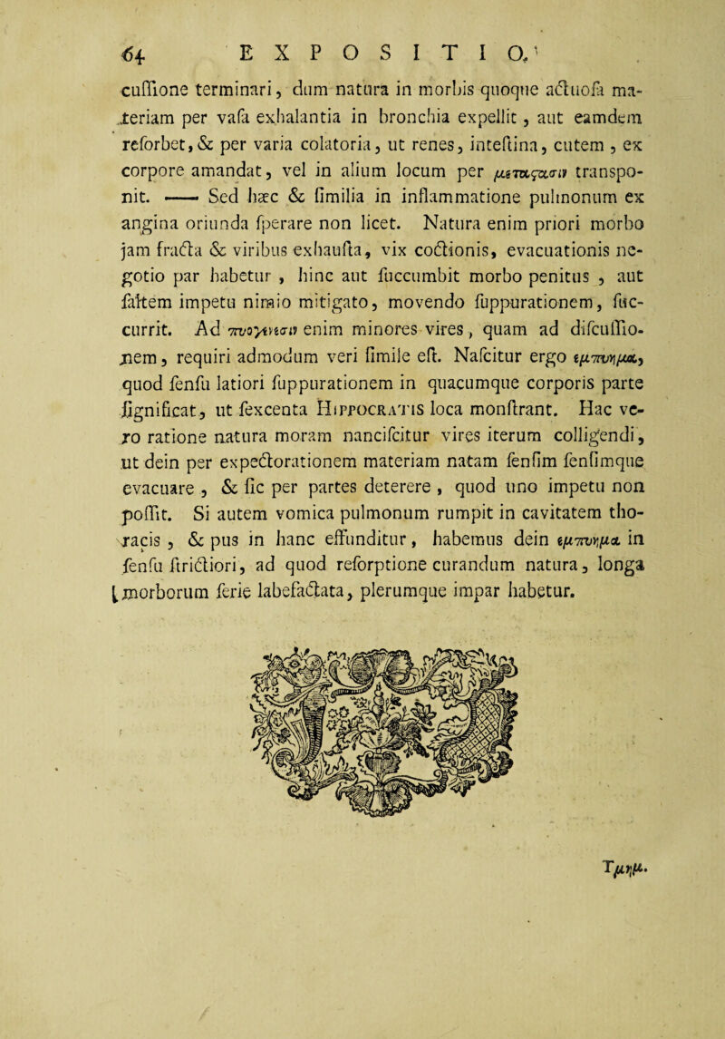 <54. EXPOSITIO.^ cuITione terminari, dum natura in morbis quoque aduoUi ma- .teriam per vafa exhalantia in bronchia expellit, aut eamdem rerorbet,& per varia colatoria, ut renes, inteftina, cutem , ex corpore amandat, vel in alium locum per transpo¬ nit. — Sed haec & fimilia in inflammatione pulmonum ex angina oriunda fperare non licet. Natura enim priori morbo jam frafla & viribus exhaufta, vix co6lionis, evacuationis ne¬ gotio par habetur , hinc aut fuccumbit morbo penitus , aut faltem impetu nimio mitigato, movendo fuppurationem, fifc- currit. Ad TwoytHo-iJ enim minores vires , quam ad difcLilTio- jiem, requiri admodum veri fimile efl. Nafeitur ergo ifjL7rvyj/M.i quod fenfu latiori fuppurationem in quacumque corporis parte iignificat, ut fexcenta Hippocratis loca monflrant. Hac vc- TO ratione natura moram nancifeitur vires iterum colligendi , ut dein per exped:orationem materiam natam fenOm fenfimque evacuare , & fic per partes deterere , quod uno impetu non polTit. Si autem vomica pulmonum rumpit in cavitatem tho¬ racis , &c pus in hanc efFunditur, habemus dein ifiiwYiiicL in fenfa ftridiori, ad quod reforptione curandum natura, longa Lmorborum ferie labefaiflata, plerumque impar habetur.