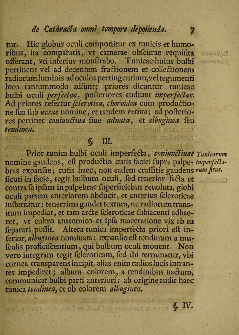 tur. Hic globus oculi componitur ex tunicis et humo¬ ribus, ita comparatis, vt camerae obfcurae requifita offerant, vti inferius monftrabo. Tunicae huius bulbi pertinent vel ad decentem fraclionem et colle&ionem radiorum luminis ad oculos pertingentium,vel tegumenti loco tantummodo adfunt; priores dicuntur tunicae bulbi oculi perfectae, pofteriores audiunt imperfettae. Ad priores refertur fclerotiea, choroidea cum productio¬ ne iua fub uveae nomine, et tandem retina; ad pofterio¬ res pertinet coniunctiua fiue ad?tat a, et albuginea feu tendinea. §. III. Prior tunica bulbi oculi imperfe<fta, coniunEliuae Tunicarum nomine gaudens, eft produftio cutis faciei fupra palpe- imperfecta- bras expanlae; cutis haec, non eadem craflitie gaudens rumfitur. ficuti in facie, tegit bulbum oculi, fed tenerior fa&a et contra ie ipfam in palpebrae fuperficiebus reuoluta, globi oculi partem anteriorem obducit, et anterius fcleroticae infternitur: tenerrima gaudet textura, ne radiorum trans¬ itum impediat, et tam anfte fcleroticae iubiacenti adhae¬ ret, vt cultro anatomico et ipfa maceratione vix ab ea feparari poffit. Altera tunica imperfe&a priori eft in¬ ferior, albuginea nominata: expanfio eft tendinum a mu* fculis proficifcentium, qui bulbum oculi mouent. Non vero integram tegit fcleroticam, fed ibi terminatur, vbi cornea transparens incipit, alias enim radios lucis intran¬ tes impediret; album colorem, a tendinibus naiftum, communicat bulbi parti anteriori; ab origine audit haec tunica tendinea, et ob colorem albuginea. □b'-V' V' §• iv.