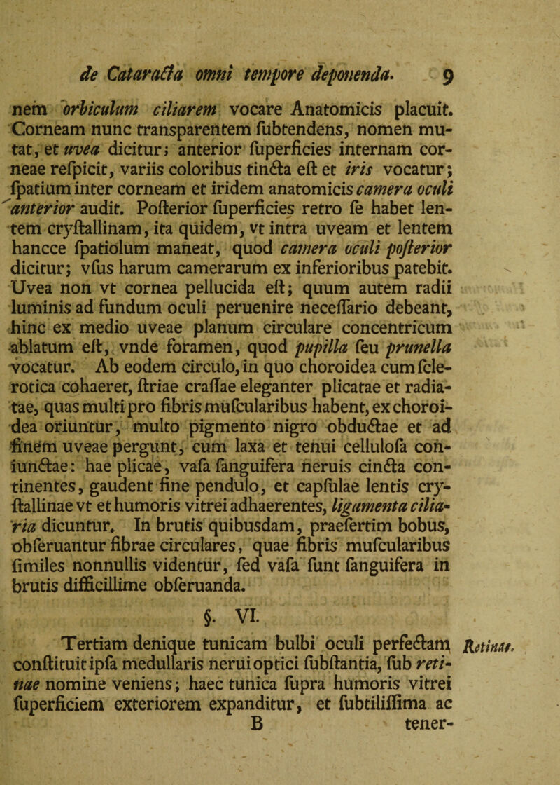 nem orbiculum ciliarem vocare Anatomicis placuit. Corneam nunc transparentem fubtendens, nomen mu¬ tat, et uve a dicitur; anterior fu perficies internam cor¬ neae refpicit, variis coloribus tin&a eft et iris vocatur; fpatium inter corneam et iridem anatomicis camera oculi 'anterior audit. Pofterior fu perficies retro fe habet len¬ tem cryftallinam, ita quidem, vt intra uveam et lentem hancce fpatiolum maneat, quod camera oculi pojierior dicitur; vfus harum camerarum ex inferioribus patebit. Uvea non vt cornea pellucida eft; quum autem radii luminis ad fundum oculi peruenire neceftario debeant, hinc ex medio uveae planum circulare concentricum ablatum eft, vnde foramen, quod pupilla feu prunella vocatur. Ab eodem circulo, in quo choroidea cum fcle- rotica cohaeret, ftriae craftae eleganter plicatae et radia¬ tae, quas multi pro fibris mufcularibus habent, ex choroi¬ dea oriuntur, multo pigmento nigro obdu&ae et ad finem uveae pergunt, cum laxa et tenui cellulofa coh- iundtae: hae plicae, vafa fanguifera neruis cin<fta con¬ tinentes, gaudent fine pendulo, et capfulae lentis cry- ftallinae vt et humoris vitrei adhaerentes, ligamenta cilia• ria dicuntur. In brutis quibusdam, praefertim bobus, obferuantur fibrae circulares, quae fibris mufcularibus fimiles nonnullis videntur, fed vafa funt fanguifera in brutis difficillime obferuanda. §. VI. Tertiam denique tunicam bulbi oculi perfe&am conftituitipfa medullaris nerui optici fubftantia, fub reti¬ nae nomine veniens; haec tunica fupra humoris vitrei fuperficiem exteriorem expanditur, et fubtiliffima ac B tener- \ I Rttinflf'