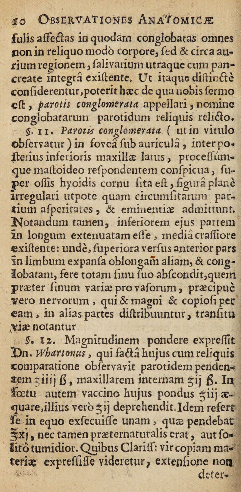 fulis affedas in quodam conglobatas omnes non in reliquo modo corpore, fed & circa au¬ rium regionem, falivarium utraque cum pan¬ create integra exiftente. Ut itaque diffinde confiderentur,poterit haec de qua nobis fermo cft, parotis conglomerata appellari, nomine conglobatarum parotidum reliquis relido. §. 11. Varotis conglomerata ( ut in vitulo ©bfervatur) in fovea fub auricula , inter po- Iferius inferioris maxillae latus, proceffum- que maltoideo refpondentem confpicua, fu- per offis hyoidis cornu lita eft, figura plane irregulari utpote quam circumlitarum par¬ dum afperitates, & eminentiae admittunt, potandum tamen, inferiorem ejus partem in longum extenuatam effe , media craffiore cxiftente: unde, fuperiora verfus anterior pars In limbum expanfa oblongam aliam, & cong¬ lobatam, fere totam iinu fuo abfcondit,quem praeter linum variae pro vaforum, praecipue ivero nervorum, qui & magni & copiofiper eam, in alias partes diftribuuntur, tranlim yix notantur §• iz. Magnitudinem pondere expreffit Dn. whartonus, qui fada hujus cum reliquis comparatione obfervavit parotidem penden¬ tem jiiij maxillarem internam gij fi. In Foetu autem vaccino hujus pondus *iij ae¬ quare, illius verb^ij deprehendit.Idem refert fe in equo exfecuiffe unam , quae pendebat Jxj, nec tamen praeternaturalis erat, autfo- lito tumidior. Quibus Clarilf: vir copiam ma¬ teriae expreffilfe videretur9 extenfione non deter-