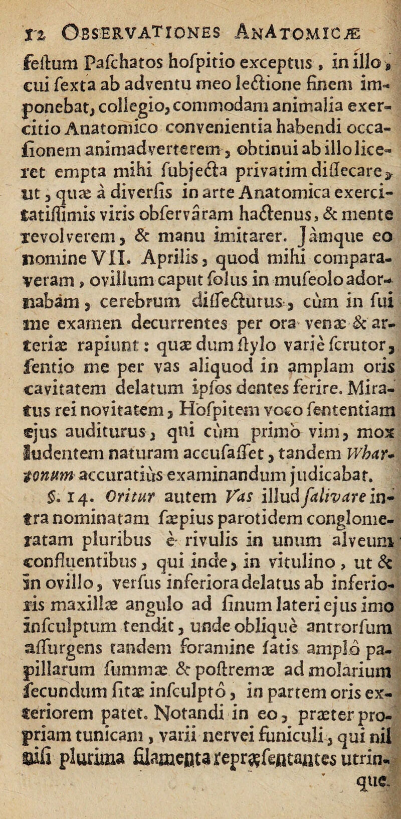 feftum pafchatos hofpitio exceptus , in illo» cui fexta ab adventu meo le&ione finem im¬ ponebat; collegio, commodam animalia exer¬ citio Anatomico convenientia habendi occa- fionem animadverterem, obtinui ab illo lice¬ ret empta mihi fubje&a privatim dirtecare* ut, quae a diverfis in arte Anatomica exerci- tatirtimis viris obfervaram ha&enus> & mente revolverem, & manu imitarer. Jamque eo nomine VII. Aprilis, quod mihi compara¬ veram » ovillum caput foliis in mufeolo ador¬ nabam , cerebrum difTedurus, cum in fui me examen decurrentes per ora venas & ar¬ teriae rapiunt: quae dum rtylo varie fcrutor, fentio me per vas aliquod in amplam oris cavitatem delatum ipfos dentes ferire. Mira¬ tus rei novitatem , Hofpitem voco fententiam sjus auditurus, qui cum primo vim, mox ludentem naturam aceufafTet, tandem Wbar- tonum accuratius examinandum judicabat. §. 14. Oritur autem Vas illud falivare in¬ tra nominatam faspius parotidem conglome¬ ratam pluribus e rivulis in unum alveum confluentibus, qui inde, in vitulino , ut & in ovillo, verfus inferiora delatus ab inferio¬ ris maxillas angulo ad linum lateri ejus imo infculptum tendit, unde oblique antrorfum adurgens tandem foramine fatis amplo pa¬ pillarum fummas &portremae ad molarium fecundum litae infculpto, in partem oris ex¬ teriorem patet. Notandi in eo, praeter pro¬ priam tunicam , varii nervei funiculi, qui nil aiii plurima filamenta rcprsjfentantesutrin- ’ ^ue.