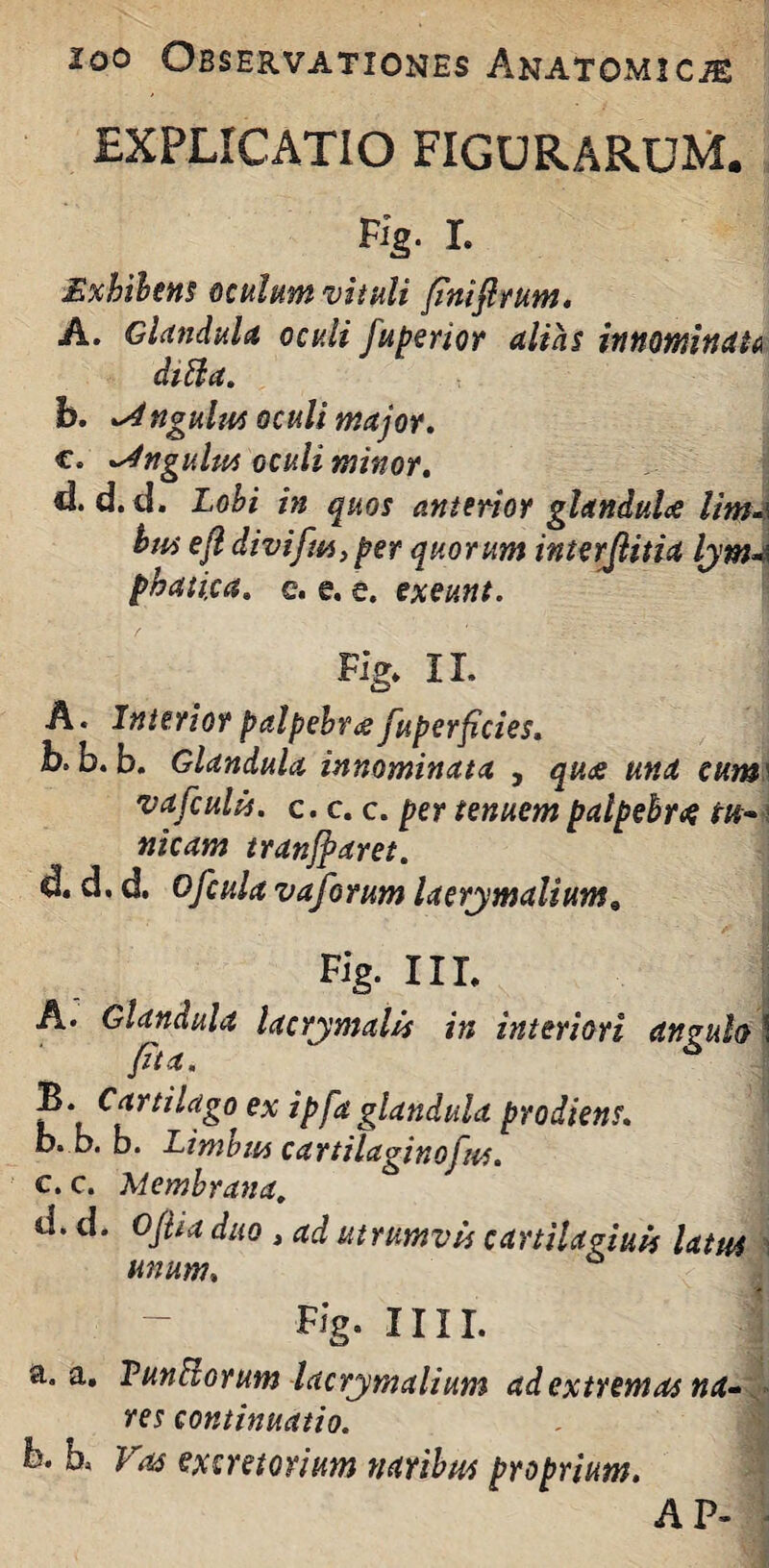 EXPLICATIO FIGURARUM. Fig. I. Exhibens oculum vituli (iniflrum. A. Glandula oculi J'uberior alias innominata dtHa. b. ngulus oculi major. c. ngulus oculi minor. d. d. d. Lobi in quos anterior glandula lir&\ hm ejl divifm, per quorum interjlitia lym-\ phatixa. e. e. e. exeunt. Fig. II. A. Interior palpebres fuperficies. b» b. b. Glandula innominata , quee una cum vafcults. c. c. c. per tenuem palpebra tu- nicam tranjparet. d. d. d. Ofcula vaforum laerymalium9 Fig. III. A. Glandula lacrjmalis in interiori anzulo \ (ita, Cartilago ex ipfa glandula prodiens. b. b. b. Limbus cartilaginofus. c. c. Membrana, d. d. Ofiia duo , ad utrumvis cartilagiuis latus unum. Fig. IIII. a. a. VunHorum lacryrnalium ad extremas na¬ res continuatio. b. L Vas excretorium naribus proprium. A P- ■