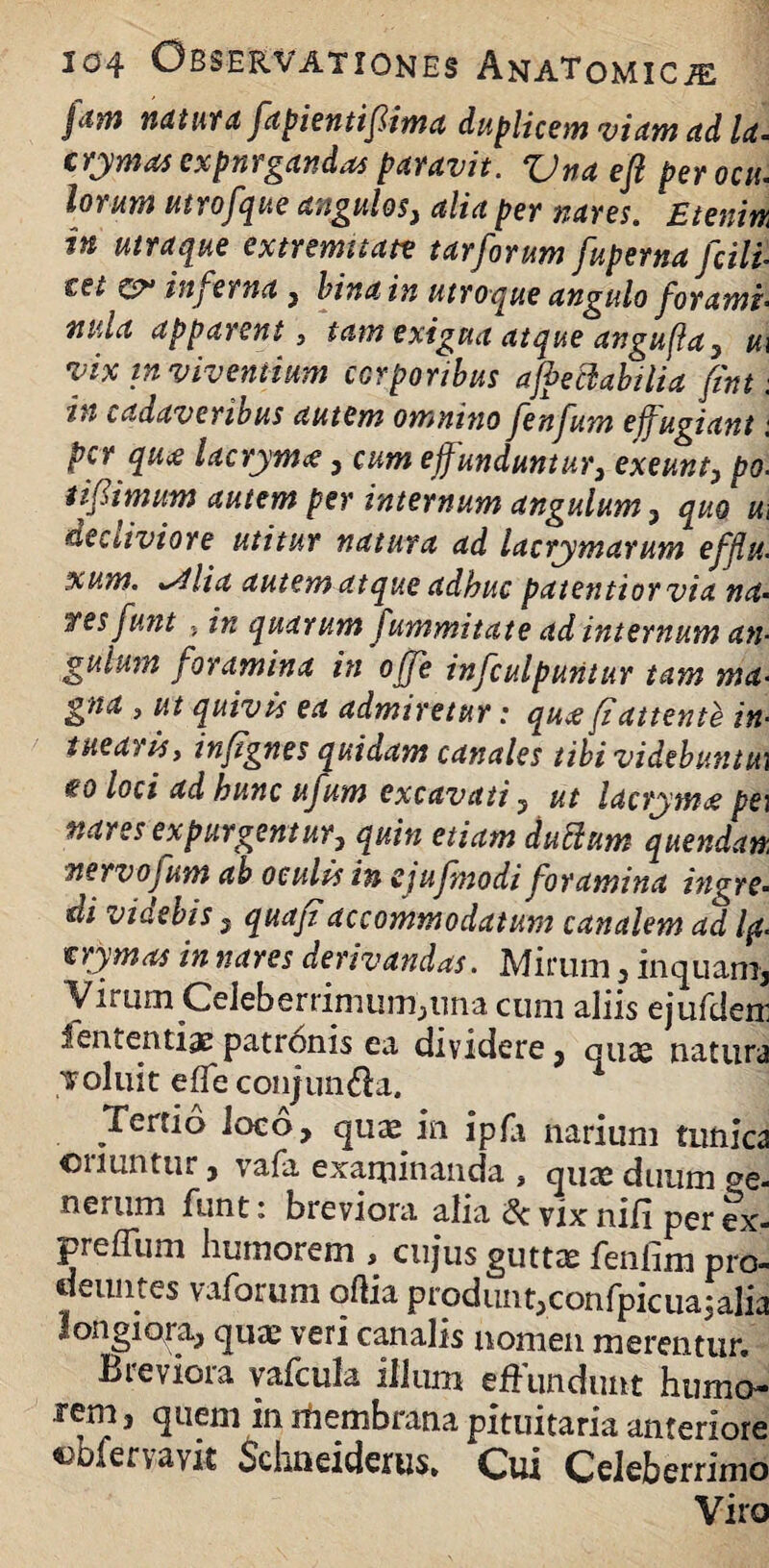 fam natura fapientifima duplicem viam ad la. crymasexpnrgandas paravit. Vnaeft perocu. lorum utrofque angulos, alia per nares. Etenim in utraque extremitate tarforum fuperna fcill tet inferna , bina in utroque angulo forami- mda apparent, tam exigua atque angufla, u\ vix in viventium corporibus afi>e flabilia fint; in cadaveribus autem omnino fenfum effugiant: per qu<£ lacrym<e, cum effunduntur3 exeunt, po- ii fimum autem per internum angulum, quo u, neciiviore utitur natura ad lacrymarum efflu¬ xum. ~4lia autem atque adhuc patentior via na¬ tes funt j in quarum fummitate ad internum an- gulam foramina in offe infculpuritur tam ma¬ gna , ut quivis ea admiretur: qu^ fi attente in¬ tuearis, infignes quidam canales tibi videbuntu\ €0 loci ad hunc ufum excavati, ut lacrymce pe\ nares expurgentur, quin etiam duflum quendan. nervofum ab oculis in sjufmodi foramina itigre- di viaebis , quaj?accommodatum canalem ad l(t. vrymas in nares derivandas. Mirum, inquam, Virum Celeberrimum,una cum aliis ejufden: iententiae patr6nis ea dividere, quae natura Toluit effe conjun&a. Tertio loco, quae in ipfa narium tunica oriuntur, vafa examinanda , qure duum pe- nerum funt: breviora alia & vix nili per ex- preffum humorem , cujus guttae fenfim pro¬ deuntes vaforum odia produnt,confpicuajafia longiora, quae veri canalis nomen merentur. Breviora vafcula illum effundunt humo¬ rem , quem in membrana pituitaria anteriore «bfervayit Schtieiderus. Cui Celeberrimo Viro