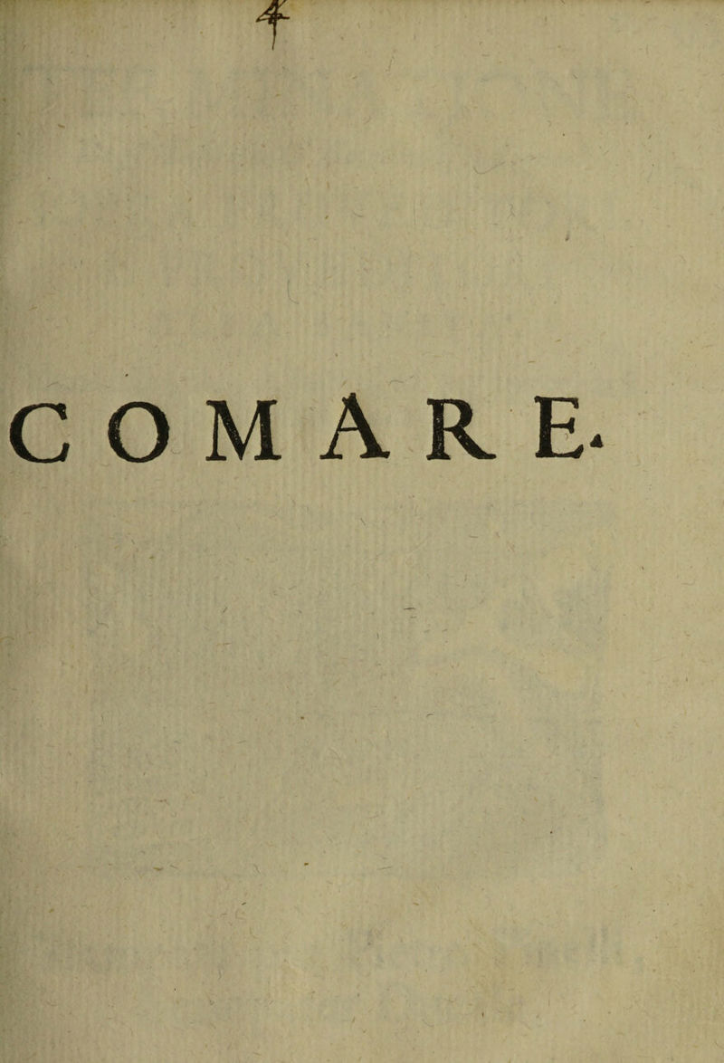 f \_ t I \ ) y • \ o * * v / /