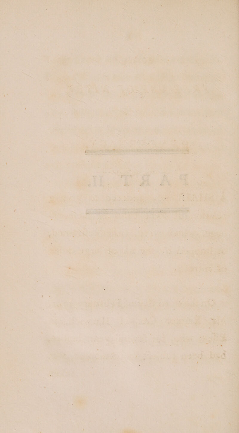 ■ \ I » ' ■ ■ . . '■ - t