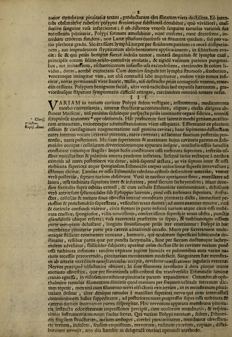 * Clarif. jv inflo w. Expof, Atidt. 1 eafior membrana: pituitaria: textus , produdtarum ejus fibrarum vieta ciu&iiitas. Eo inten¬ tius obfcuriufve rubefcet polypus firmiorique fubftantia donabitur, quo vividiori, crafi» fiorivo {anguine vafa infarcientur; fi obdiftentos venofo fanguine ramulos varicofa fiat membrana pituitaria, Polypi formam aemulabitur, nunc crefcens, nunc decrefcens, in¬ terdum cruorem fundens, non Luna: phafium confenfu ut finxerunt quidam, fed pro va¬ rio plethora: gradu. Sin craffiore lympha turget per fluidarum partium ex mora diffipatio- nem, aut imprudentem llypticorum abforbentiumve applicationem , in fchirrhum eva¬ dit : fic 8c qui prius bertigns fuerat indolis tumor, mutata fanguinis <Sc lympha: craii principiis eorum falinoacido-corrofivis evolutis , 8c rigide vaforum parietes pungenti¬ bus , aut irritanfium, efcharoticorum iufaufto ufu excandefcens, carcinodes fit colore li¬ vidus , durus, acerbe excrucians. Cum demum fanguisaut lympha flrumofo , fcorbutico, venereoque intingitur viru, aut alia contra&a labe inquinatur, eodem vitio tumor infi¬ citur , novas germinandi vires haurit, nullis, nifi dertrudto prius contagiofo veneno, reme¬ diis cefllirus. Polypum benignum facili, alris vero radicibus late expanfis haerentem, gra- vioribufque ftipatum fymptomatis difficile attingas, carcinodem omnino tentare nefas. I I I. VARIAM in narium cavitate Polypi fedem vertigare, Hlftrumenta, medicamenta morbo corlveriientia , internae ftrudturteaccommodata, eligete, eledta dirigere ab- flineat Medicus, nifi penitius feduloque perfpedla prius innotuerit organi fabrica, nonnifi fcrupulofa: anatomes* ope obtinenda. Hac ptaducente face latentis morbi genium,auxilio- rum armaturam, tutioremque adminiftrandorum viam aflequeris. Effbrmatur ex-plurium offium & cartilaginum coagmentatione nafi gemina cavitas; hanc fepimentodiftincJtara nares internas vocant; externe patentes, nares externas; ad lacunar faucium poflerius pro¬ tentas, nares pofteriores. Mediam fuperiorem &. maximam hujus cavitatis partem os Eth- moides occupat; cellularum diverticulorumque apparatu infigne, tenellulis ofleis lamellis conflatum totumque fragile: hujus bafin conftituunt ofla turbinata fuperiora, inferius of- fibus maxillaribus & palatinis annexa prodeunt inferiora. Inferne latior redtaque a rtaribus- externis ad nares pofteriores via datur, adeo fuperne ardlata, ut vix feptum inter 8c ofla, tUrbinata fuperiora atque fpongiofum Ethmoidis corpus unius linea: fuperfic intervallum; ifthmus dicitur. Lamina ex offis Ethmoidis tabulato cribofo defeendens- anterius , vomer vero polterius, feptum narium abfolvunt. Varii in naribus aperiuntur finus, maxillares ad latera, offa turbinata fuperiora inter & inferiora, pond faecum lachrymalem; hiant deor- {um frontales fupra orbitas extenfi , & cum cellulis Ethmoidis communicant, dehifcunt Vero antrorfum fphenoidales fub Ephippio latentes, pone ofla turbinata fuperiora. Anfra- dtns, cellullas !k narium finus obvertit interne membrana pituitaria didta, immediate pe- riofteo &c perichondriofuperftrata, veficulari textu donata-,-ad nares.externas tenuior, cuti & cuticula: confundi videtur, circa feptum in parte inferna narium atque circa ofla turbi¬ nata craffior, fpongiofior, villis tenuiffimis , confertiffimis fuperficie tenus obfita, pundtis glandiilofis ubique referta ; vafa excretoria praefertim in fepeo, & turbinatorum offium pafte‘anteqtiam dehifcanr, longum finuofumque prius iter emetiuntur: Polypi in hac rhefflbtana: pituitaria: parte pra: cacteris adnafeendi occafio. Muco per fecretionem unde- cfiiaque ftillante continenter irroratur, humoris, qui oculorum fuperficiei lubricanda: de- rtinatur, refidua: partis qua: per pundta lacrymalia , hinc per faecum dudlumque lachry¬ malem advehitur , ftillicidio-fabjacet; aperitur enim dudtus ille in cavitate narium ponS ofla turbinata inferiora: tandem expirans jugiter humida ex pulmonibus aura vatios na¬ rium recefliis percurrendo, pituitariam membranam madefacit. Sanguinem haec membra¬ na ab arteriae maxiliaris ramifi canonibus accipit, revehunt ramificationes jugularis externae* Nervos praecipui olfadtorios obtinet; hi funt filamenta involucro i dura piaque matre mutuato obveftita, quae per foraminula offis cribrofi feu tranfverfalis Ethmoidis laminae cranio egrefla, in villofam membranae pituitariae partem expanduntur. Oriundus ab oph¬ thalmico ramulus filamentum dimittit quod cranium per foramen orbitale internum dic¬ tum repetit, moxuna cum filamento nervi olfadtorii exit iterum, ut in membranam pitui¬ tariam definat , alter denique ramulus a maxillari fuperiori nervo qui cum intercoftaii cbmmunionem habet fuppeditatus , ad porterioresnares progreffus fupra ofla turbinata Sc caeterasflariurh internarum partes difpergitur. Hoc nervorum apparatu membrana pituita¬ ria inftrudta odoriferorum impreffiones percipit, cum oculorum membranis i &refpira~ nonis inftrumentis mutuum foedus fervat. Qui variam Polypi naturam, fedem, Ethmoi¬ dis fragilem ftrudthfam^ttarium ambages, cerebri proximitatem, membrana obvertien- tis textum, indolem , fenfum exquifitum, nervorum , vaforum exortum, copiam,, diftri- birtiones noverit, non diu haerebit in deligenda certiori operandi methodo,-