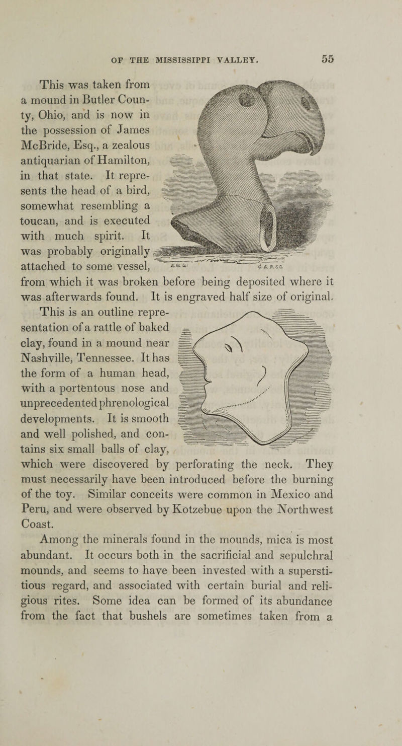 This was taken from a mound in Butler Coun¬ ty, Ohio, and is now in the possession of James McBride, Esq., a zealous antiquarian of Hamilton, in that state. It repre¬ sents the head of a bird, somewhat resembling a toucan, and is executed with much spirit. It was probably originally attached to some vessel, from which it was broken before being deposited where it was afterwards found. It is engraved half size of original. This is an outline repre¬ sentation of a rattle of baked clay, found in a mound near Nashville, Tennessee. It has the form of a human head, with a portentous nose and unprecedented phrenological developments. It is smooth and well polished, and con¬ tains six small balls of clay, which were discovered by perforating the neck. They must necessarily have been introduced before the burning of the toy. Similar conceits were common in Mexico and Peru, and were observed by Kotzebue upon the Northwest Coast. Among the minerals found in the mounds, mica is most abundant. It occurs both in the sacrificial and sepulchral mounds, and seems to have been invested with a supersti¬ tious regard, and associated with certain burial and reli¬ gious rites. Some idea can be formed of its abundance from the fact that bushels are sometimes taken from a