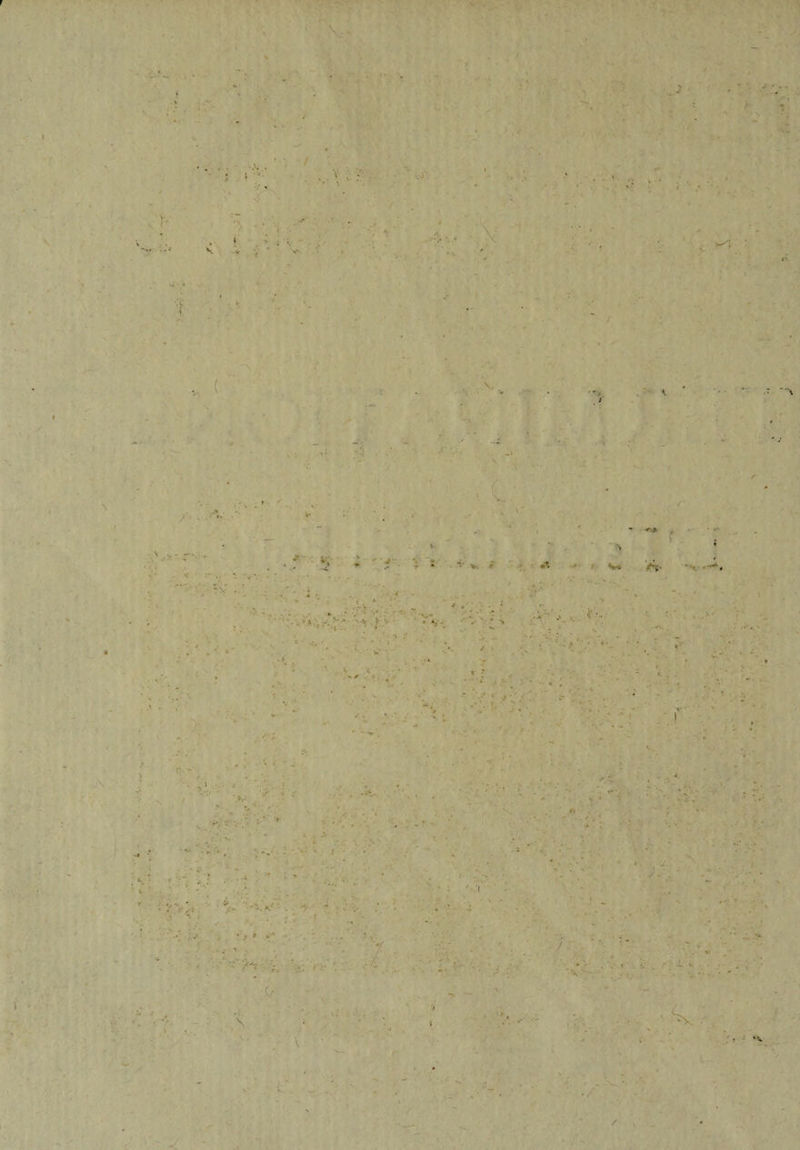 I V ' \ .7. \ ' f A (r /