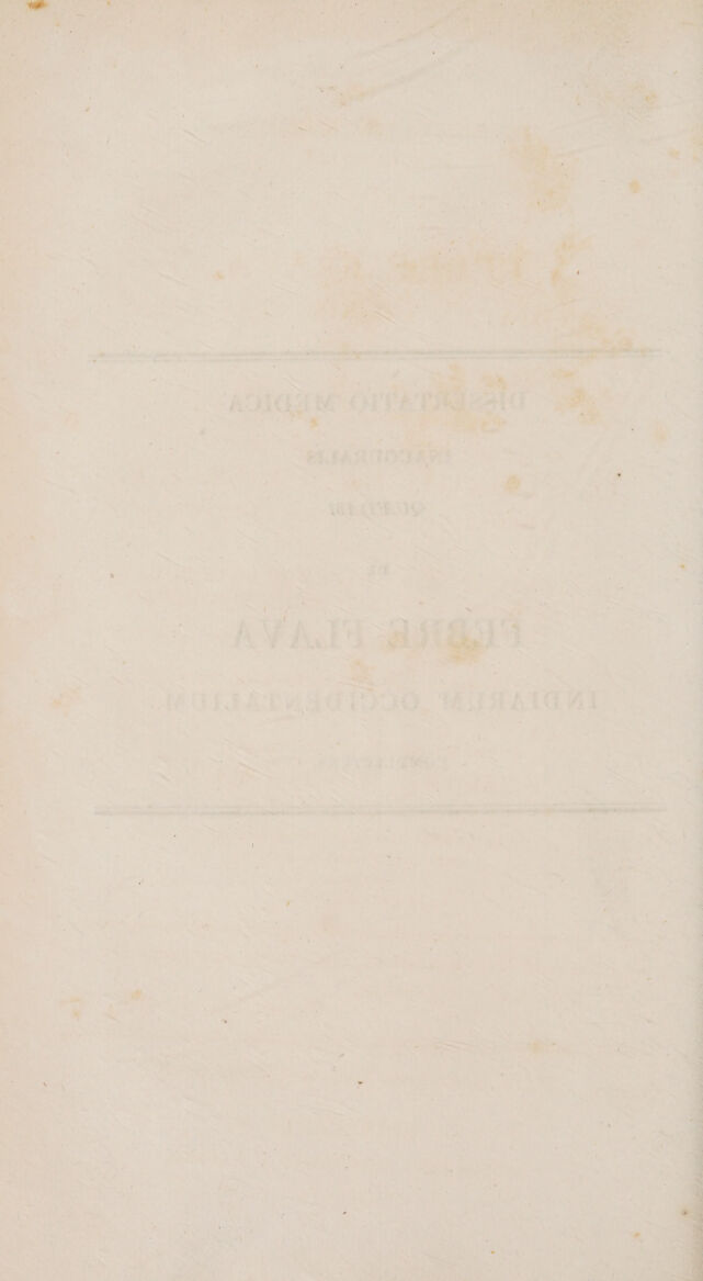 digitised image 2