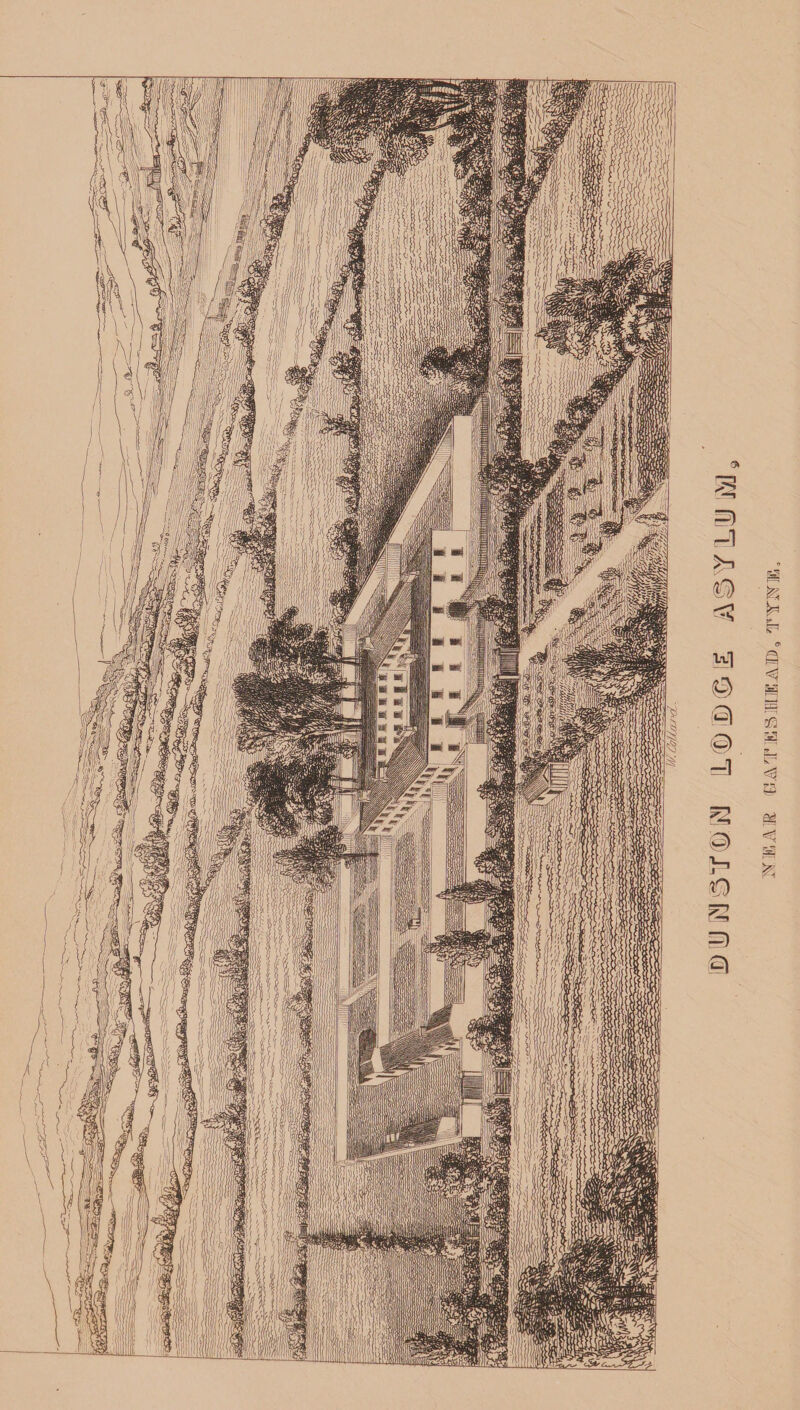 KT.1I5A1K ©ATi&SKAB, TY^OS.