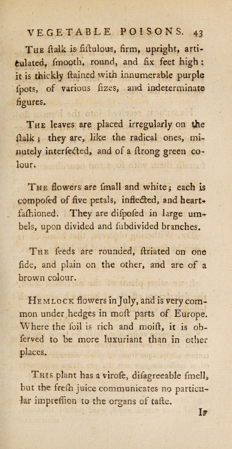 The ftalk is fiftulous, firm, upright, arti¬ culated, fmooth, round, and fix feet high; it is thickly ftained with innumerable purple fpots, of various fizes, and indeterminate figures. The leaves are placed irregularly on the fialk ; they are, like the radical ones, mi¬ nutely interfered, and of a ftrong green co¬ lour. The flowers are frnall and whiter each is compofed of five petals, infledted, and heart* faflfioned. They are difpofed in large um¬ bels, upon divided and fubdivided branches. The feeds are rounded, ftriated on one fide, and plain on the other, and are of a brown colour. * 'J v ■ * ' * Hemlock flowers in July, and is very com¬ mon under hedges in mo ft parts of Europe. Where the foil is rich and moift, it is ob- ferved to be more luxuriant than in other places. This plant has a virofe, difagreeable fmell, but the freih juice communicates no particu¬ lar impieffion to the organs of tafie. If