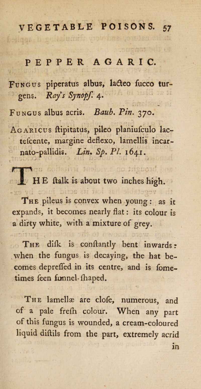PEPPER AGARIC. Fungus piperatus albus, la&eo fucco tur- gens. Rays Synopf. 4. Fungus albus acris. Baub. Pin. 370. Agaricus ftipitatus, pileo planiufculo lac- tefcente, margine deflexo, lamellis incar- nato-pallidis. Lin. $p. PL 1641. ripi.• 1 HE ftalk is about two inches high. The pileus is convex when young: as it expands, it becomes nearly flat: its colour is a dirty white, with a mixture of grey. The difk is conftantly bent inwards * when the fungus is decaying, the hat be¬ comes deprefled in its centre, and is fome- times feen funnel-fhaped. The lamellae are clofe, numerous, and of a pale frefh colour. When any part of this fungus is wounded, a cream-coloured liquid diftils from the part, extremely acrid