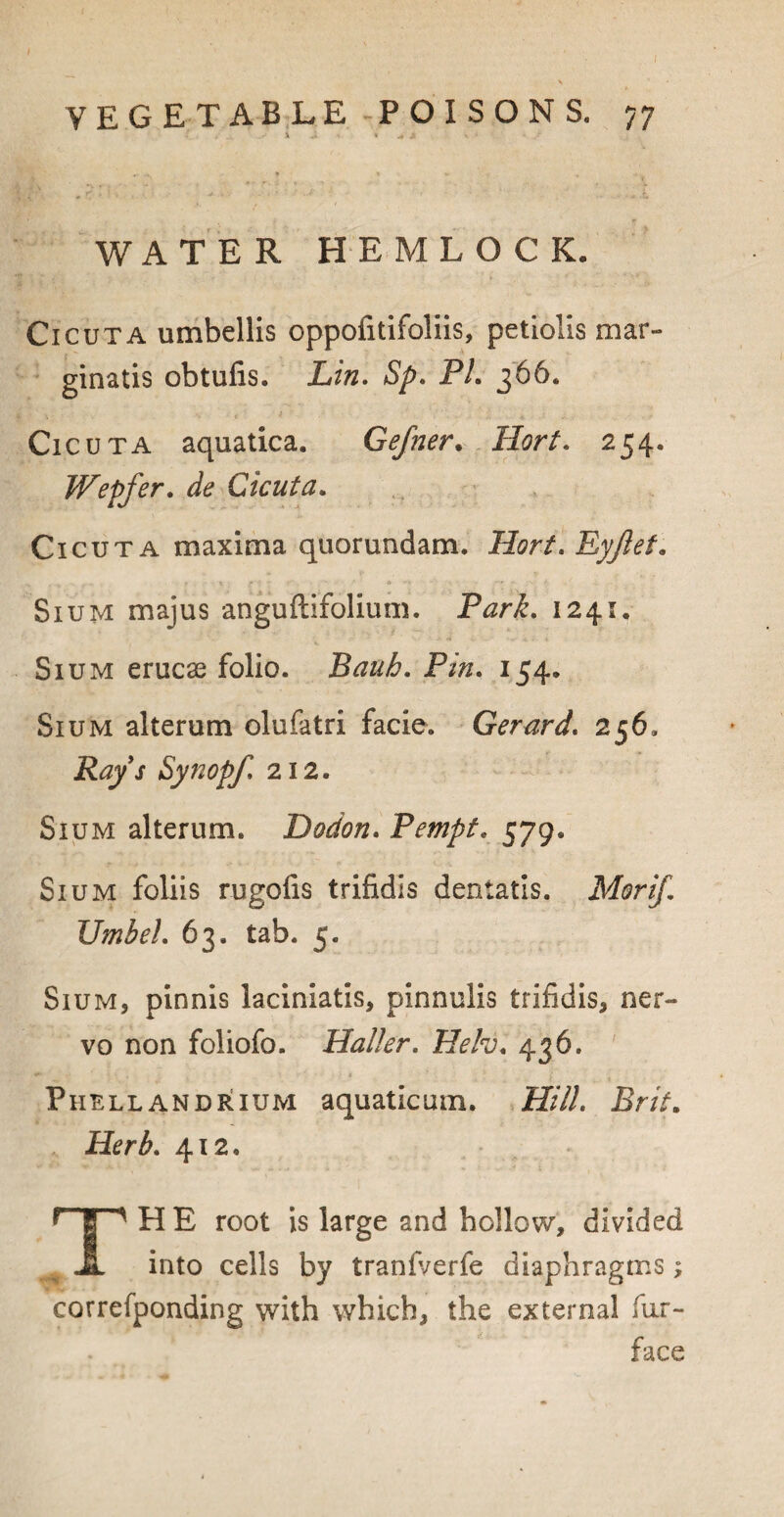 WAT E R HEMLOCK. Cicuta umbellis oppofitifoliis, petlolis mar- ginatis obtufis. Lin. Sp. PL 366. Cicuta aquatica. Gefner. Hort. 254, Wepfer. de Cicuta. Cicuta maxima quorundam. Pfor/. Eyjlet. Sium majus anguftifolium. P<zri. 1241, Sium erucae folio. Bauh. Pin. 154. Sium alterum olulatri facie. Gerard. 256. j Synopf 212. Sium alterum. Dodon. Tempt. 579. Sium foliis rugofis trifidis dentatis. Morif. Umbel. 63. tab. 5. Sium, pinnis laciniatis, pinnulis trifidis, ner- vo non foliofo. Haller. Heh. 436. Phellandrtum aquaticum. Hill. Pr/V. Hir£. 412. THE root is large and hollow, divided into cells by tranfi/erfe diaphragms; correfponding with which, the external fur- face