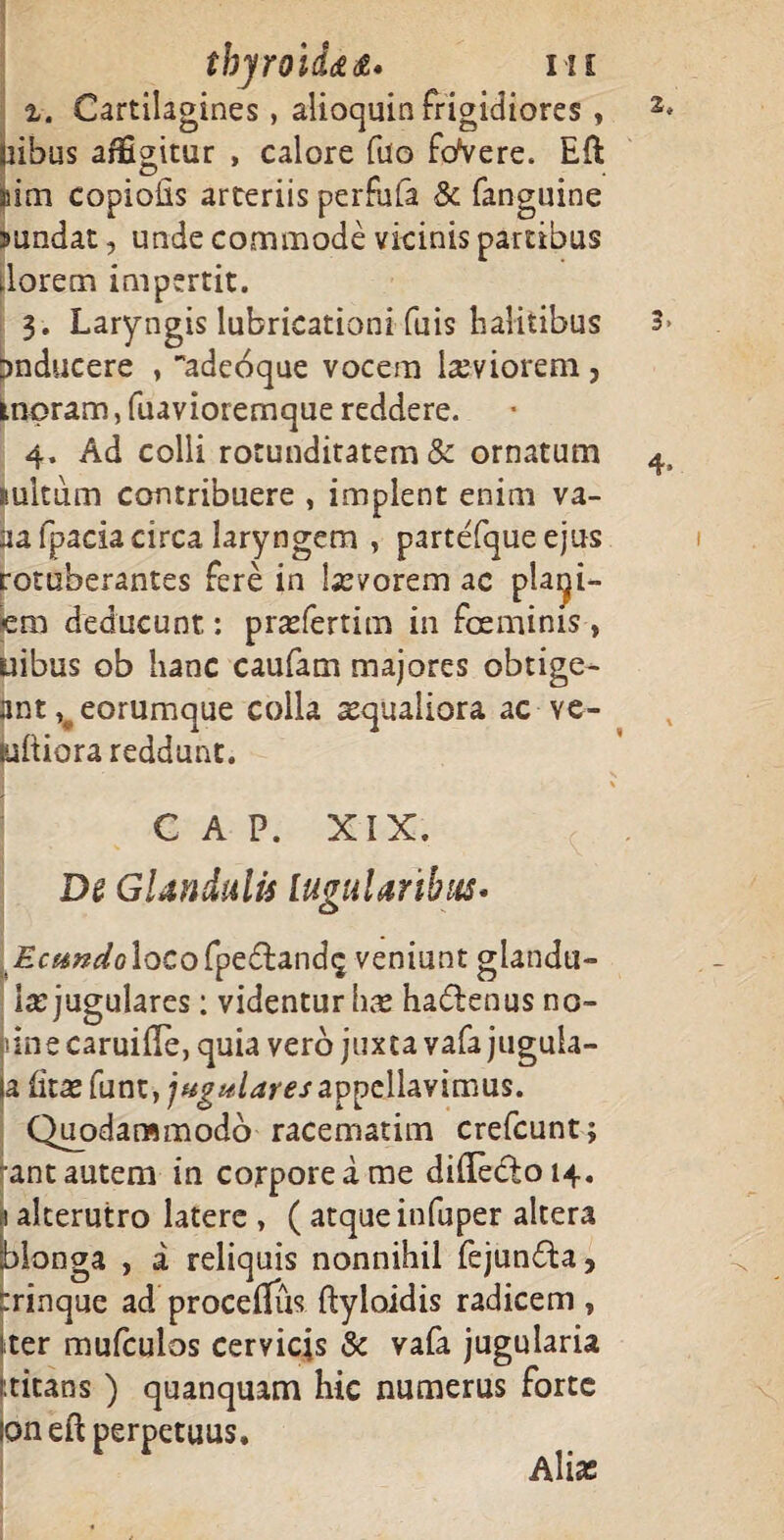 tbyroid<££. mi i. Cartilagines, alioquin frigidiores , * jiibus affigitur , calore fao foVere. Eft moi copiolis arteriis perfufa & fanguine sundat, unde commode vicinis partibus dorem impertit. 3. Laryngis lubricationi fuis halitibus 3 inducere , “adeoque vocem lasviorem, moram, fuavioremque reddere. 4. Ad colli rotunditatem & ornatum 4 mltum contribuere , implent enim va¬ na fpacia circa laryngem , partefque ejus rotuberantes Fere in lasvorem ac playi- em deducunt: prasfertim in foeminis , uibus ob hanc caufam majores obtige- ant v eorumque colla asqualiora ac ve- (uftiora reddunt. i \ C A P. XIX. De Glandulis lugularibus• £c«Wolacofpe£lands veniunt glandu¬ las jugulares : videntur ha» haflenus no- isine caruifle, quia vero juxta vafa jugula¬ ta (itas funt, jugulares appellavimus. Quodammodo racematim crefcunt; ant autem in corpore a me di(Tedoi4. 1 alterutro latere , ( atque infuper altera blonga , a reliquis nonnihil fejun&a, trinque ad proceflus ftyloidis radicem , ter mufculos cervicis «Sa vafa jugularia i titans ) quanquam hic numerus forte ioneft perpetuus.