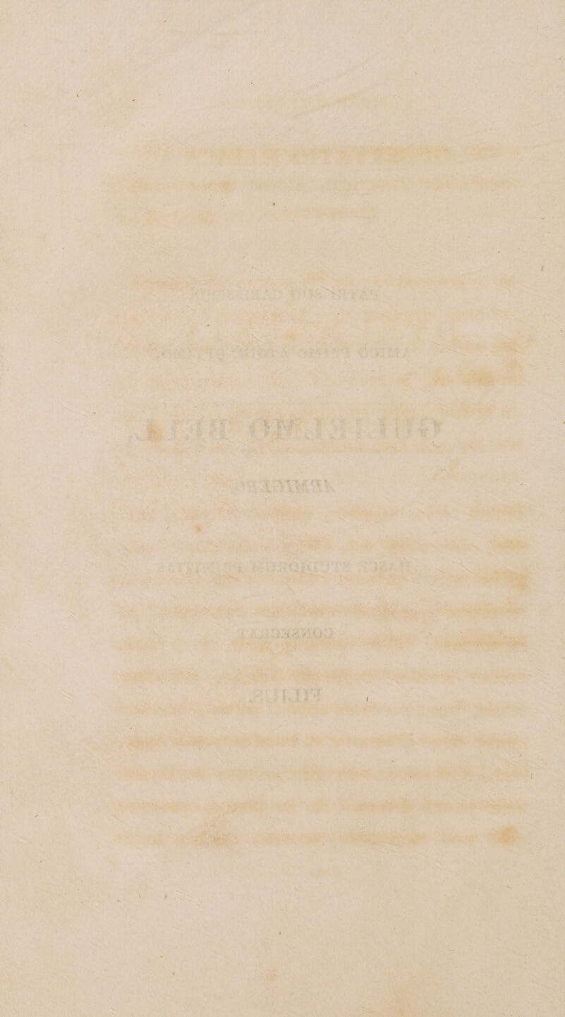 m w' ^<» '■•i >i^• ' ' - ■ .' ‘ ' ■ ' ■- '. ^ ■• l/..r- ’ 'v'' ■ • ' -jI -'-^ rM '•'iT’ .**•,♦• V • ■^•. ,.-' '• ' ' . v-^^>vv*.'v:r• ^ \ ■■ ^ ■ r'!'- ^•T* d'U,f5; M ' ‘ V- •/ ■ ■^P|;|t' ?* 9^'i 4 t ? i teMi ' - i. , ■ .‘'r' ^r\'.- ••;'•■ .-■'T'^^!'^;;. ■ •' - ' ■ ' ' \'' j ■• ■■•;•> -♦,► --i,.-. %v t«!t>
