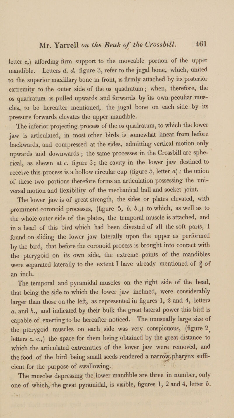 letter c,) affording firm support to the moveable portion of the upper mandible. Letters d. d. figure 3, refer to the jugal bone, which, united to the superior maxillary bone in front, is firmly attached by its posterior extremity to the outer side of the os quadratum; when, therefore, the os quadratum is pulled upwards and forwards by its own peculiar mus¬ cles, to be hereafter mentioned, the jugal bone on each side by its pressure forwards elevates the upper mandible. The inferior projecting process of the os quadratum, to which the lower jaw is articulated, in most other birds is somewhat linear from before backwards, and compressed at the sides, admitting vertical motion only upwards and downwards ; the same processes in the Crossbill are sphe¬ rical, as shewn at c. figure 3; the cavity in the lower jaw destined to receive this process is a hollow circular cup (figure 5, letter a); the union of these two portions therefore forms an articulation possessing the uni¬ versal motion and flexibility of the mechanical ball and socket joint. The lower jaw is of great strength, the sides or plates elevated, with prominent coronoid processes, (figure 5, b. 6.,) to which, as well as to the whole outer side of the plates, the temporal muscle is attached, and in a head of this bird which had been divested of all the soft parts, I found on sliding the lower jaw laterally upon the upper as performed by the bird, that before the coronoid process is brought into contact with the pterygoid on its own side, the extreme points of the mandibles were separated laterally to the extent I have already mentioned of f of an inch. The temporal and pyramidal muscles on the right side of the head, that being the side to which the lower jaw inclined, were considerably larger than those on the left, as represented in figures 1, 2 and 4, letters a. and b., and indicated by their bulk the great lateral power this bird is capable of exerting to be hereafter noticed. The unusually large size of the pterygoid muscles on each side was very conspicuous, (figure 2? letters c. c.,) the space for them being obtained by the great distance to which the articulated extremities of the lower jaw were removed, and the food of the bird being small seeds rendered a narrow,pharynx suffi¬ cient for the purpose of swallowing. The muscles depressing the lower mandible are three in number, only one of which, the great pyramidal, is visible, figures 1, 2 and 4, letter b.