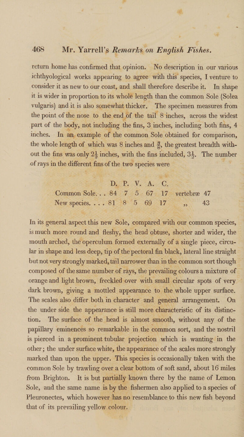 return home has confirmed that opinion. No description in our various ichthyological works appearing to agree with this species, I venture to consider it as new to our coast, and shall therefore describe it. In shape it is wider in proportion to its whole length than the common Sole (Solea vulgaris) and it is also somewhat thicker. The specimen measures from the point of the nose to the end of the tail 8 inches, across the widest part of the body, not including the fins, 3 inches, including both fins, 4 inches. In an example of the common Sole obtained for comparison, the whole length of which was 8 inches and the greatest breadth with¬ out the fins was only 2J inches, with the fins included, 3J. The number of rays in the different fins of the two species were D. P. V. A. C. Common Sole. . .84 7 5 67 17 vertebrae 47 New species. ... 81 8 5 69 17 ,, 43 In its general aspect this new Sole, compared with our common species, is much more round and fleshy, the head obtuse, shorter and wider, the mouth arched, the operculum formed externally of a single piece, circu¬ lar in shape and less deep, tip of the pectoral fin black, lateral line straight but not very strongly marked, tail narrower than in the common sort though composed of the same number of rays, the prevailing colours a mixture of orange and light brown, freckled over with small circular spots of very dark brown, giving a mottled appearance to the whole upper surface. The scales also differ both in character and general arrangement. On the under side the appearance is still more characteristic of its distinc¬ tion. The surface of the head is almost smooth, without any of the papillary eminences so remarkable in the common sort, and the nostril is pierced in a prominent tubular projection which is wanting in the other; the under surface white, the appearance of the scales more strongly marked than upon the upper. This species is occasionally taken with the common Sole by trawling over a clear bottom of soft sand, about 16 miles from Brighton. It is but partially known there by the name of Lemon Sole, and the same name is by the fishermen also applied to a species of Pleuronectes, which however has no resemblance to this new fish beyond that of its prevailing yellow colour.