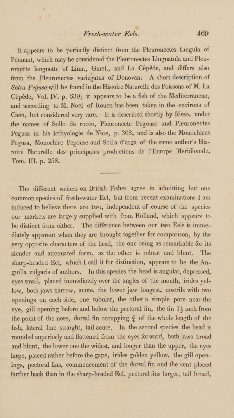 It appears to be perfectly distinct from the Pleuronectes Lingula of Pennant, which may be considered the Pleuronectes Linguatula and Pleu- ronecte languette of Linn., Gmel., and La Cepede, and differs also from the Pleuronectes variegatus of Donovan. A short description of Solea Pegusa will be found in the Histoire Naturelle des Poissons of M. La Cepede, Vol. IV. p. 639; it appears to be a fish of the Mediterranean, and according to M. Noel of Rouen has been taken in the environs of Caen, but considered very rare. It is described shortly by Risso, under the names of Sollo de rocco, Pleuronecte Pegouse and Pleuronectes Pegusa in his Icthyologie de Nice, p. 308, and is also the Monochirus Pegusa, Monochire Pegouse and Solla d’arga of the same author’s His¬ toire Naturelle des principales productions de 1’Europe Meridionale, Tom. III. p. 258. The different writers on British Fishes agree in admitting but one common species of fresh-water Eel, but from recent examinations I am induced to believe there are two, independent of course of the species our markets are largely supplied with from Holland, which appears to be distinct from either. The difference between our two Eels is imme¬ diately apparent when they are brought together for comparison, by the very opposite characters of the head, the one being as remarkable for its slender and attenuated form, as the other is robust and blunt. The sharp-headed Eel, which I call it for distinction, appears to be the An¬ guilla vulgaris of authors. In this species the head is angular, depressed, eyes small, placed immediately over the angles of the mouth, irides yel¬ low, both jaws narrow, acute, the lower jaw longest, nostrils with two openings on each side, one tubular, the other a simple pore near the eye, gill opening before and below the pectoral fin, the fin 1\ inch from the point of the nose, dorsal fin occupying f- of the whole length of the fish, lateral line straight, tail acute. In the second species the head is rounded superiorly and flattened from the eyes forward, both jaws broad and blunt, the lower one the widest, and longer than the upper, the eyes large, placed rather before the gape, irides golden yellow, the gill open¬ ings, pectoral fins, commencement of the dorsal fin and the vent placed farther back than in the sharp-headed Eel, pectoral fins larger, tail broad.