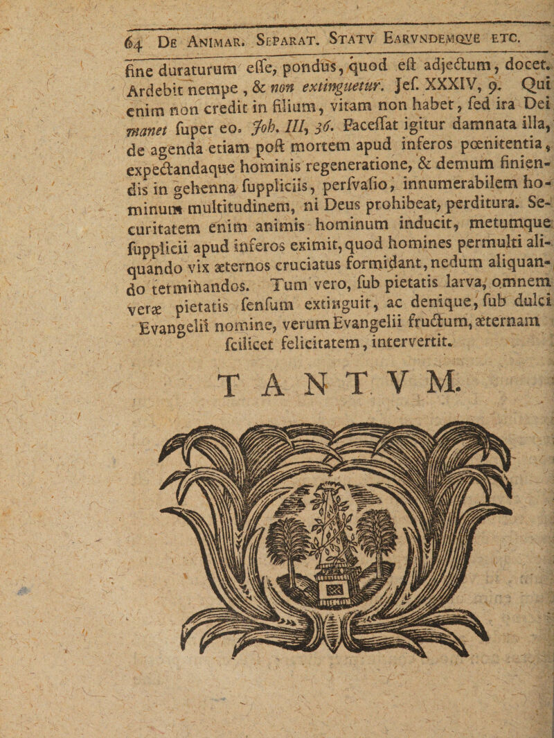 , ——. »■■■■■!* II' ' * ^ '' ' ****^ ' ^ V fine duraturum effe, pondus, quod eli adjedum, docet» Ardebit nempe , &amp; non extinguetuf. Jef. XXXIV, r&gt;. Qui enim non credit in filium, vitam non habet, fed ira Dei manet fuper eo. jfoh. ///, $6. Facetiar igitur damnata ilia, de agenda etiam poft mortem apud inferos poenitentia, expedandaque hominis regeneratione, &amp; demum finien¬ dis in gehenna luppliciis, perfvafio, innumerabilem ho¬ minum multitudinem, ni Deus prohibeat, perditura. Se¬ curitatem enim animis hominum inducit, metumque. fupplicii apud inferos eximit, quod homines permulti ali¬ quando vix aeternos cruciatus formidant, nedum aliquan¬ do terminandos. - Tum vero, fub pietatis larva, omnem vera: pietatis fenfum extinguit, ac denique, fub dulci Evaneelif nomine, verum Evangelii frudum, aeternam fcilicet felicitatem, intervertit. T A N T V M. V j V