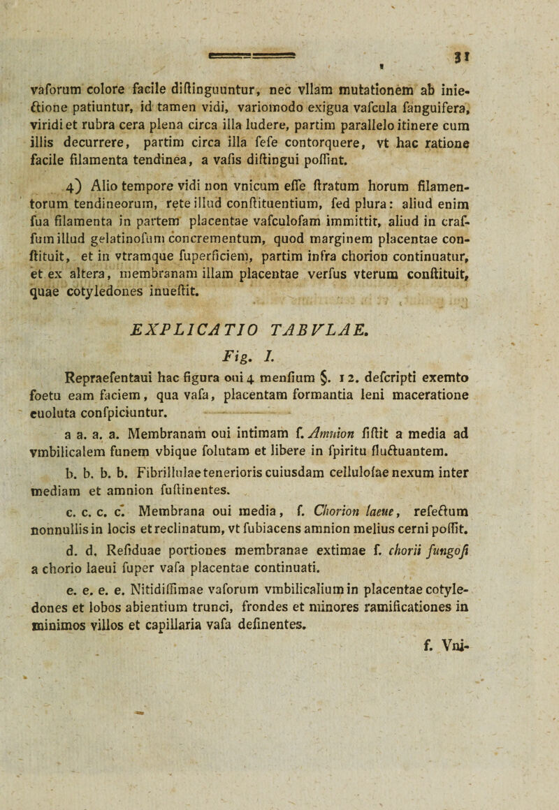 3* 9 vaforum colore facile diftinguuntur, nec vllam mutationem ab inie- ftione patiuntur, id tamen vidi, variomodo exigua vafcula fanguifera, viridi et rubra cera plena circa illa ludere, partim parallelo itinere cum illis decurrere, partim circa illa fefe contorquere, vt hac ratione facile filamenta tendinea, a vafis diftingui pofiint. 4) Alio tempore vidi non vnicum efie ftratum horum filamen¬ torum tendineorum, rete illud conftituentium, fed plura: aliud enim fua filamenta in partem placentae vafculofam immittit, aliud in craf- fum illud gelatinofum concrementum, quod marginem placentae con- ftituit, et in vtramque fuperficiem, partim infra chorion continuatur, et ex altera, membranam illam placentae verfus vteruna conftituit, quae cotyledones inueftit. EXPLICATIO TABVLAE. Fig. I. Repraefentaui hac figura oui4 menfium §. 12. defcripti exemto foetu eam faciem, qua vafa, placentam formantia leni maceratione euoluta confpiciuntur. a a. a. a. Membranam oui intimam f. Amnion fiftit a media ad vmbilicalem funem vbique folutam et libere in fpiritu fluttuantem. b. b. b. b. Fibrilhdae tenerioris cuiusdam cellulofae nexum inter mediam et amnion fuftinentes. c. c. c. c*. Membrana oui media, f. Chorion laeue, refeftum nonnullis in locis et reclinatum, vt fubiacens amnion melius cerni poffit. d. d, Refiduae portiones membranae extimae f. chorii fungo fi a chorio laeui fuper vafa placentae continuati, e. e. e. e. Nitidiffimae vaforum vmbilicaliumin placentae cotyle¬ dones et lobos abientium trunci, frondes et minores ramificationes in minimos villos et capillaria vafa delinentes. f. Vni-