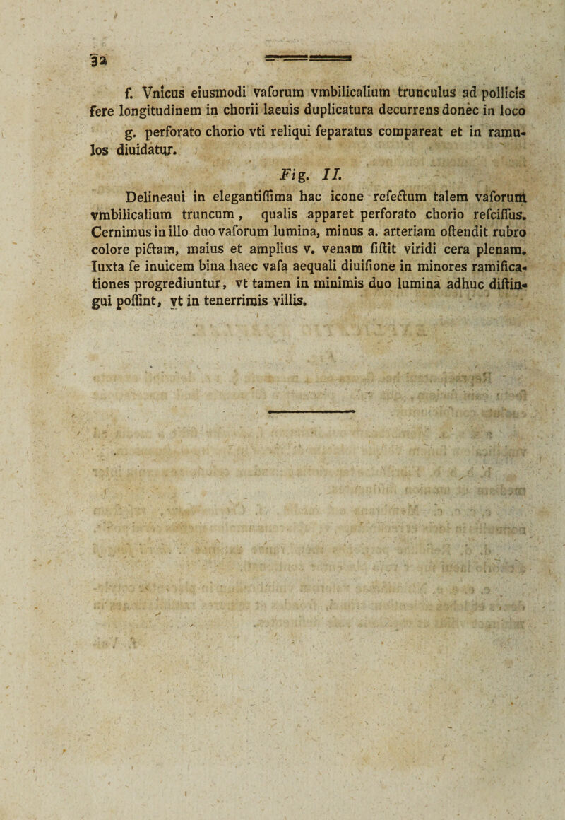 a a , — —- ' —8 -• f. Vmcus eiusmodi vaforum vmbilicalium trunculus ad pollicis fere longitudinem in chorii laeuis duplicatura decurrens donec in loco g. perforato chorio vti reliqui feparatus compareat et in ramu¬ los diuidatur. Fig. II. Delineaui in elegantifiima hac icone refe&um talem vaforunt vmbilicalium truncum , qualis apparet perforato chorio refciflus. Cernimus in illo duo vaforum lumina, minus a. arteriam oftendit rubro colore piftam, maius et amplius v. venam fiftit viridi cera plenam, Iuxta fe inuicem bina haec vafa aequali diuifione in minores ramifica- tiones progrediuntur, vt tamen in minimis duo lumina adhuc diftia* gui poffint, yt in tenerrimis villis. i