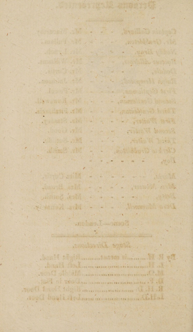 \ * . - N; * - - - . 1 ■ . t'- > V ’ ,, • - * - < V ,4 i , < l ..•* 1 • • V ■ «< . ' • ' ' .*• « * 1 « * • ' y .... *r * i : • « * '• X-f * t '» t <* • : ■ - ff y •