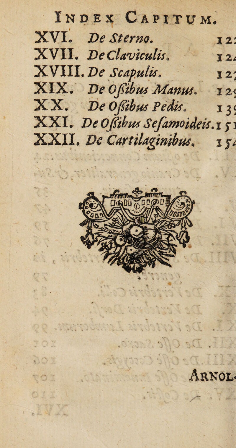 Index Capitum, XVI* De Sterno. % 2: XVII* De Claviculis» jzi XVIII. De Scapulis» j 2; XIX. De OJsibus Manus» 1 z< XX. De Ofiibus Pedis. 13< XXI. DeOjfibus Sefamoideis» 15-] XXII. Xte Cartilaginibus. j Arnol«