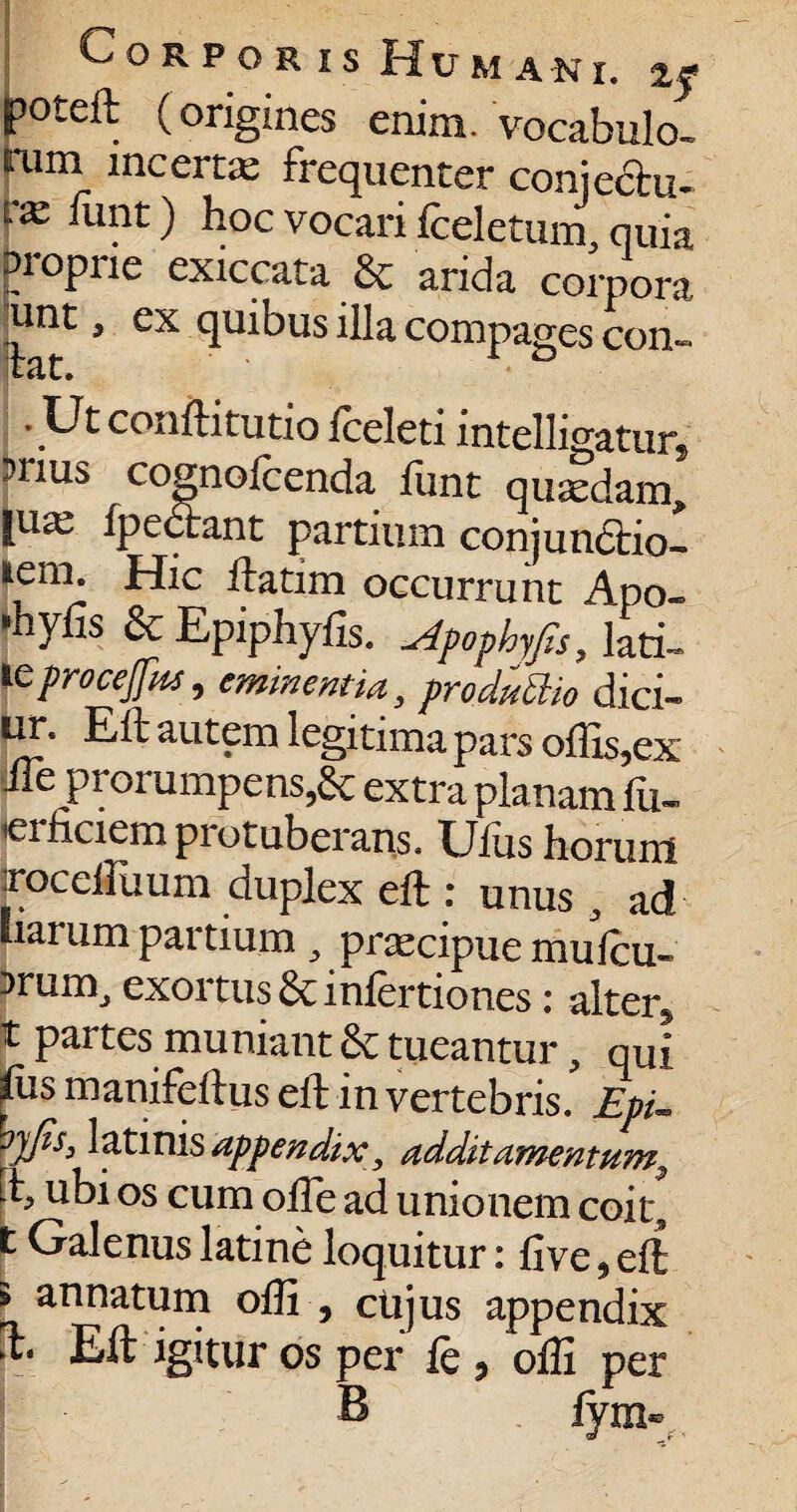 Corporis UMA-Nl. 2jf joteft (origines enim, vocabulo¬ rum incerta: frequenter coniectu- l'x 'unt) hoc vocari (celetum, quia proprie exiccata & arida corpora unt, ex quibus illa compages con- • Ut conftitutio fceleti intelligatur, ?i ius cognoicenda fiint quaedam, |u^ fpectant partium conjunctio! nem. Hic ftadm occurrunt Apo- •hyfis & Epiphyfis. slpophyfis, lati- leprocejfut, eminentia, produttio dici- ur. Eft autem legitima pars offis,ex fte prorumpens,Sc extra planam fu- icinciem protuberans. Uftis horum jrocefiuum duplex eft : unus, ad liarum partium, praecipue mufcu- Jrum, exortus Scinfertiones: alter, t partes muniant & tueantur, qui ffis manifeftus eft in vertebris. Epi- latinis appendix, additamentum, it, ubi os cum olle ad unionem coit, t Galenus latine loquitur: live, eft > annatum offi , cujus appendix il. Eft igitur os per le , offi per B fym-
