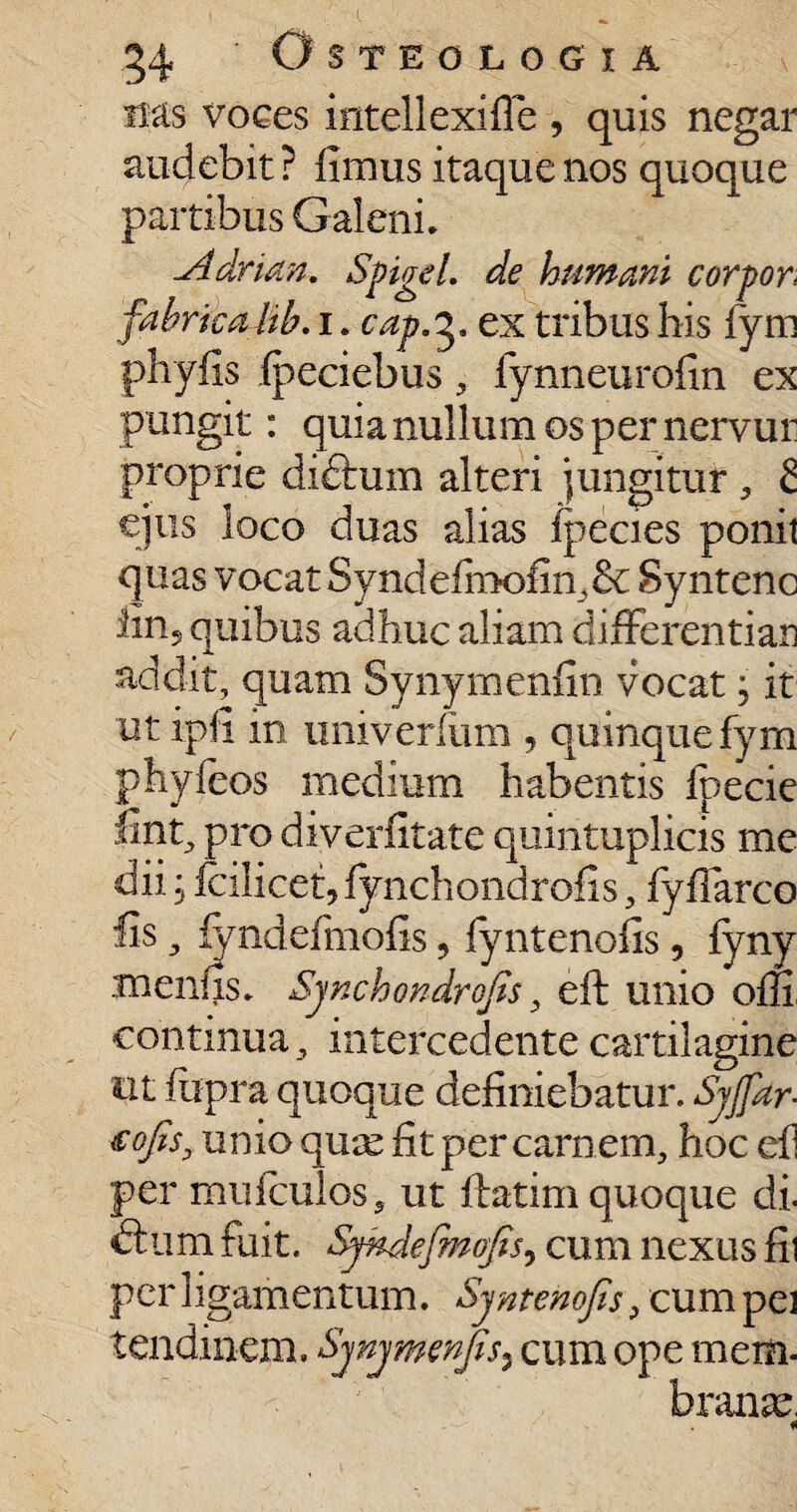 ms voces intellexifle , quis negar audebit ? fimus itaque nos quoque partibus Galeni. ^Adrian. Spigel. de humani corpor fabrica hb. i. cap. 5. ex tribus his iym phyfis (peciebus, fynneurofin ex pungit: quia nullum os per nervur proprie didhim alteri jungitur , 8 ejus loco duas alias fpecies ponit quas vocat Syndefn>ofinJ& Syntenc iin? quibus adhuc aliam differentiati addit, quam Synymenfin vocat; it ut ipfi in univerium , quinque fym phyfeos medium habentis fpecie lint, pro diverfitate quintuplicis me dii j fcilicet, fynchondrofis, fiyffarco fis, fyndefmofis, fyntenofis, fyny menfis. Sjnchondrojts, eft unio om continua, intercedente cartilagine ut flipra quoque definiebatur. SjJfar- tofisy unio quas fit per carnem, hoc efi per muiculos, ut llatim quoque di. dium fuit. Syndefmojis, cum nexus fil per ligamentum. Syntenofis, cumpei tendinem. Sjnjmenfis3 cum ope mem¬ branae.