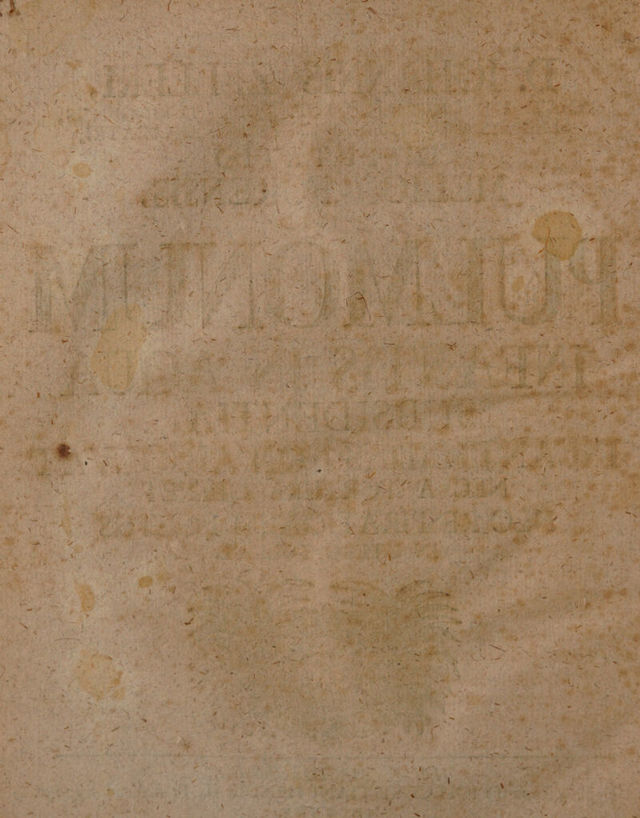 digitised image 2