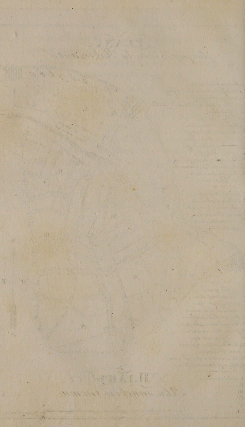 * I I V w ' ' Jv «P. * *v'