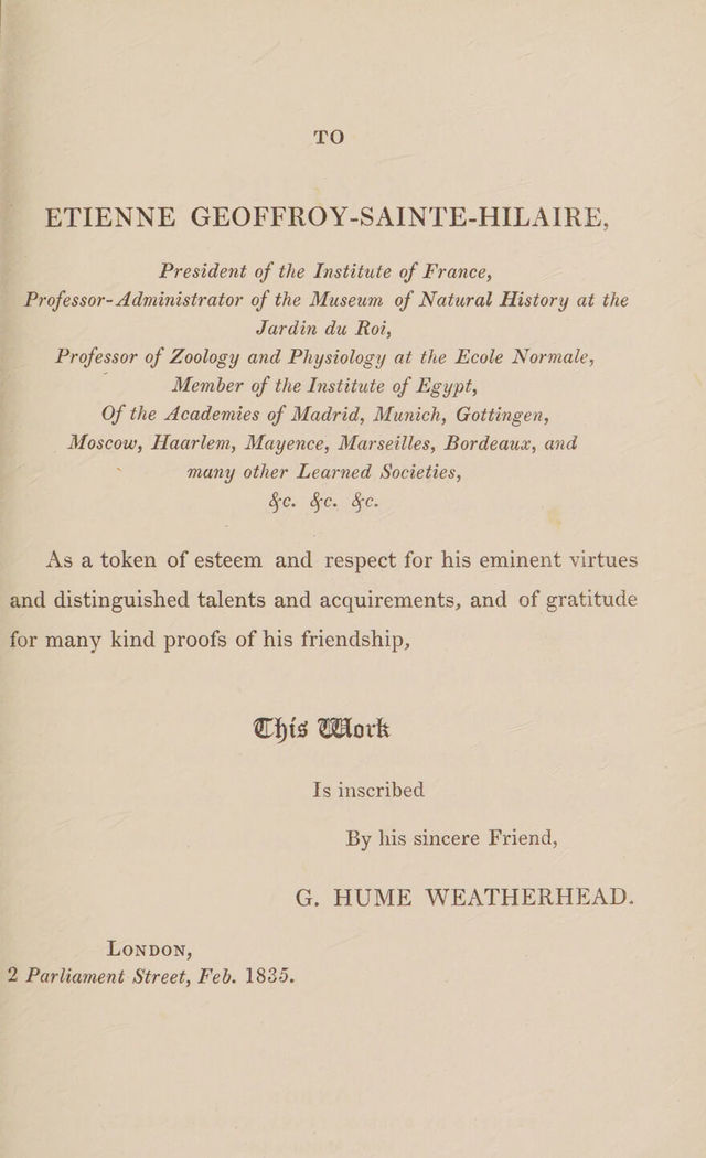 digitised image 3